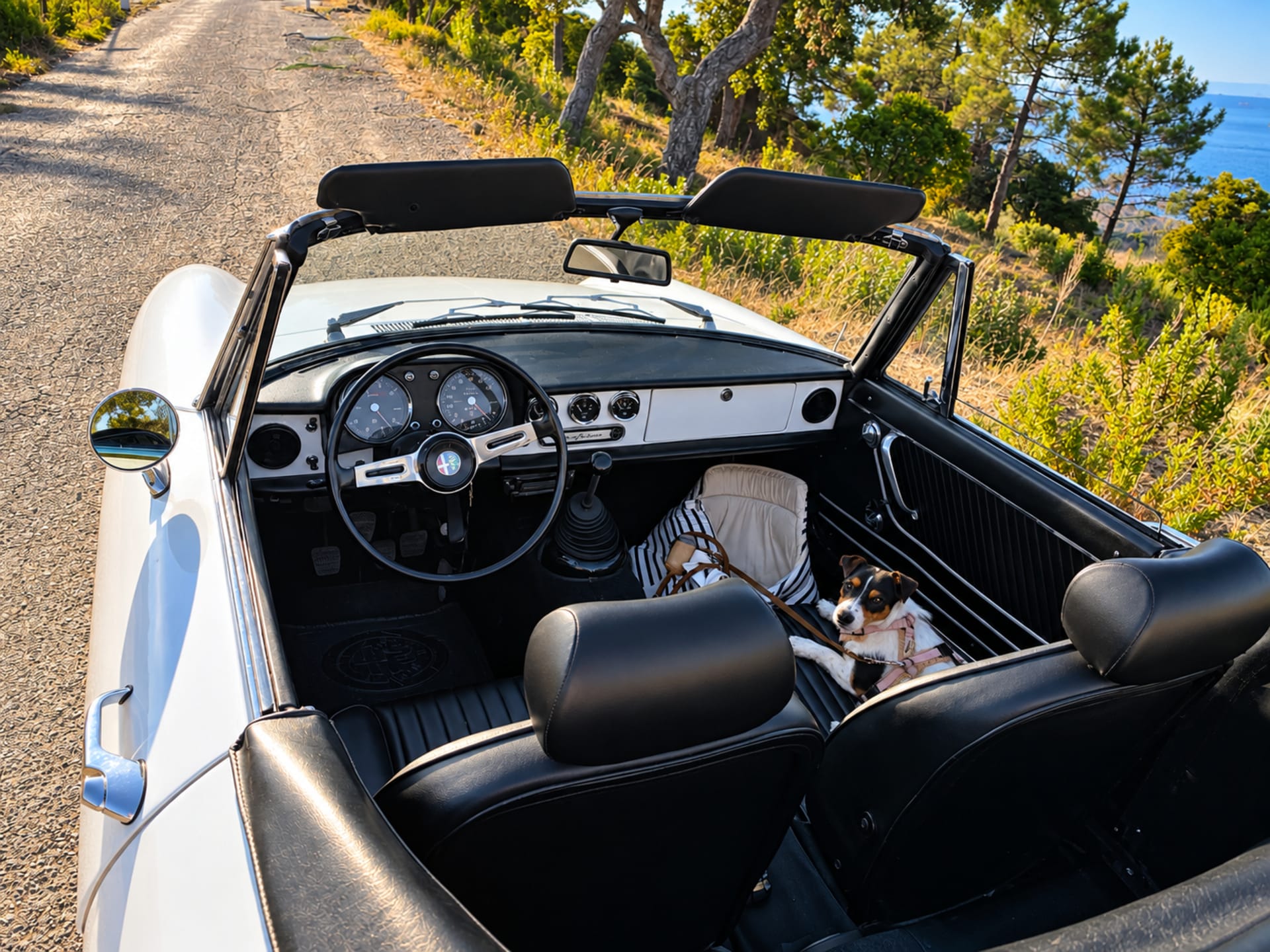 Alfa Romeo Spider Tipo 105 Junior Coda Longa