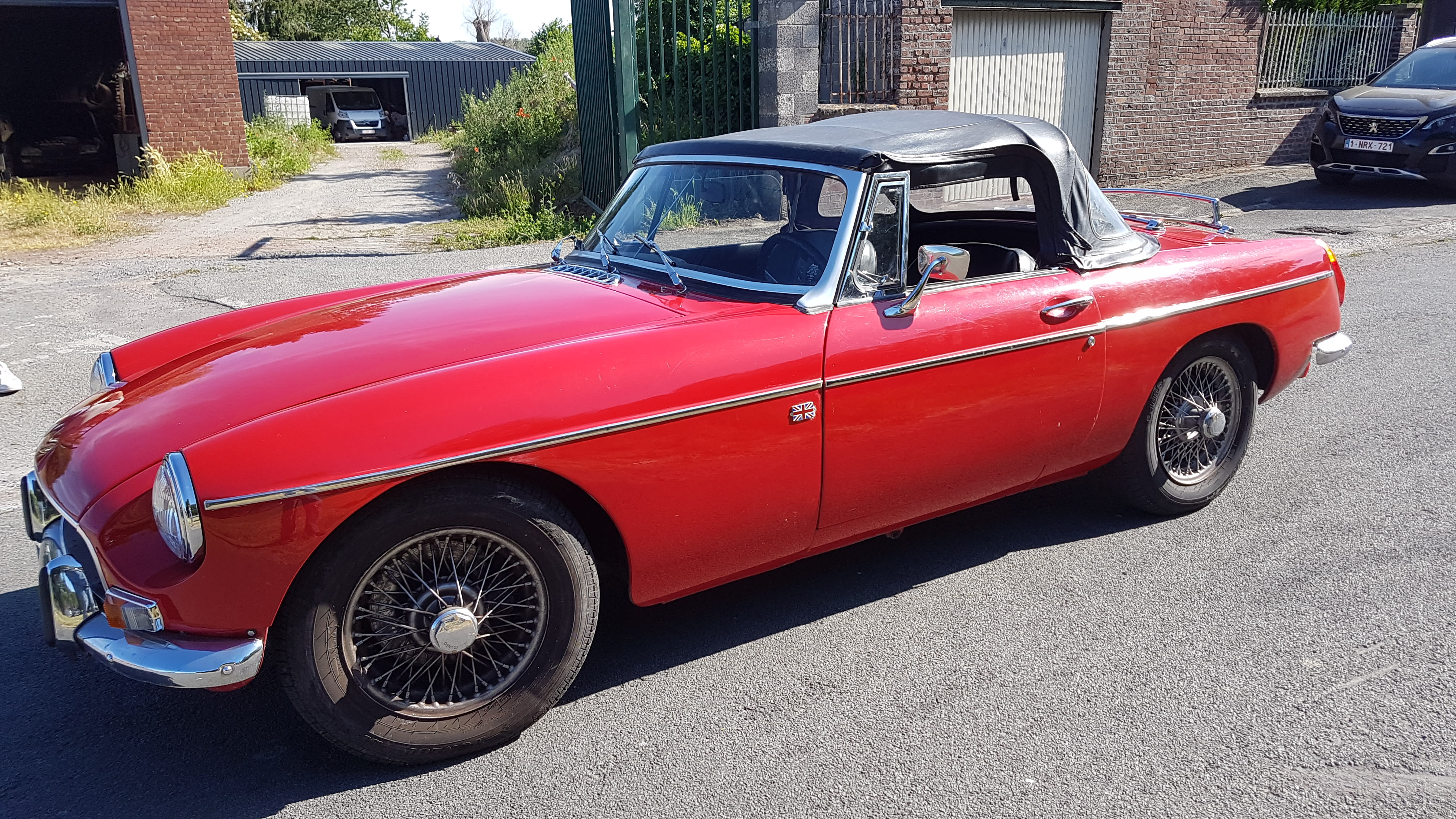 Mg B