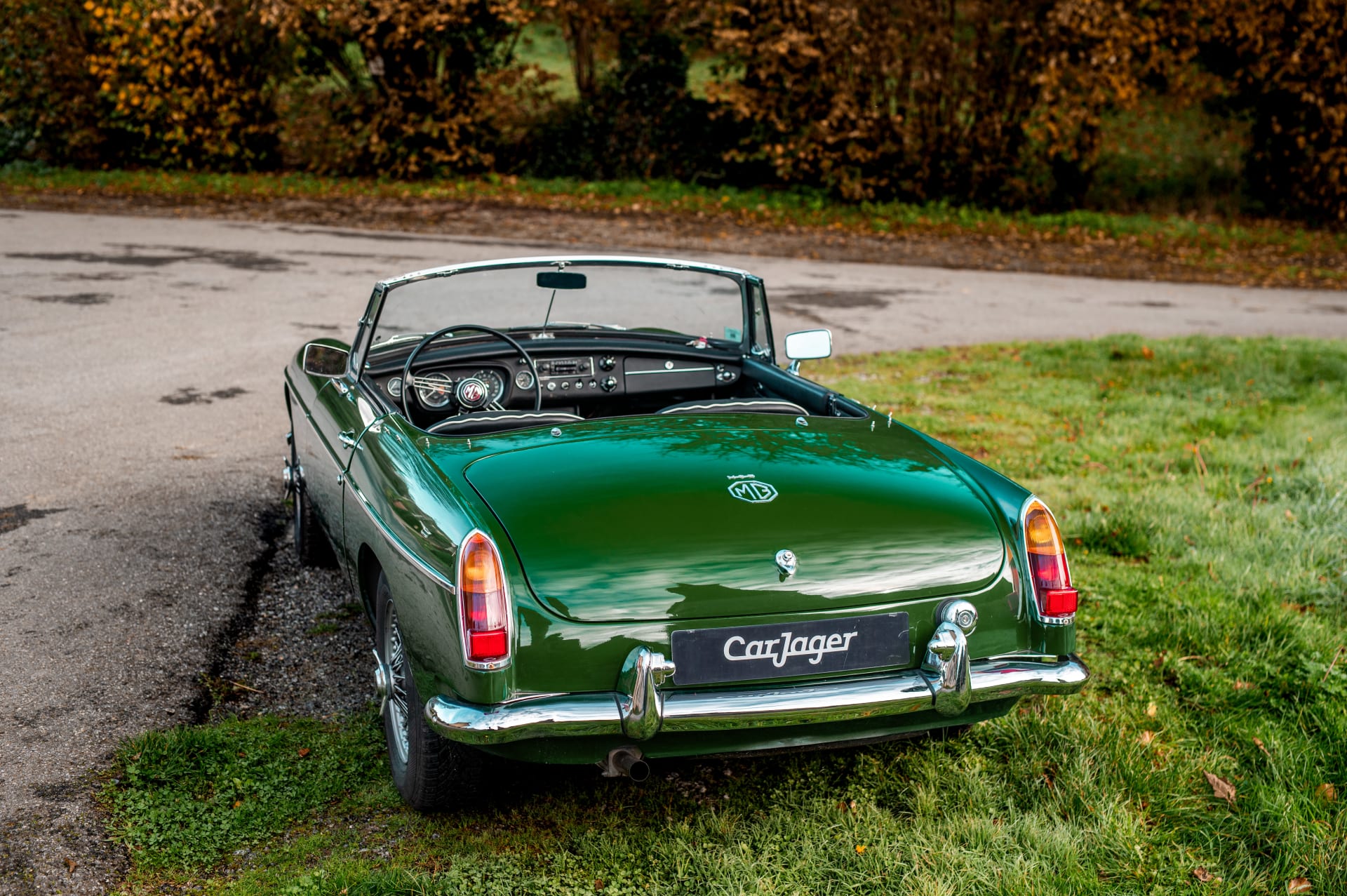 Mg B