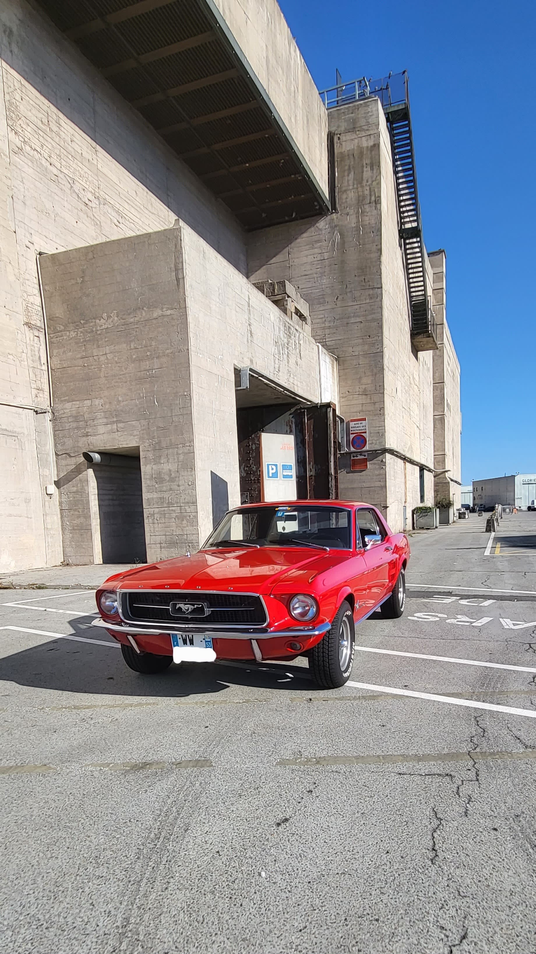 Ford Mustang  