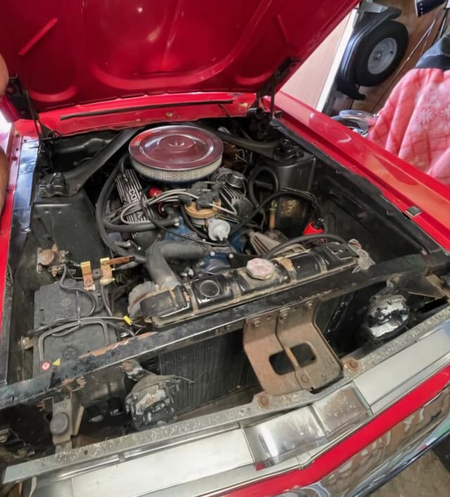 FORD Mustang   1967 occasion