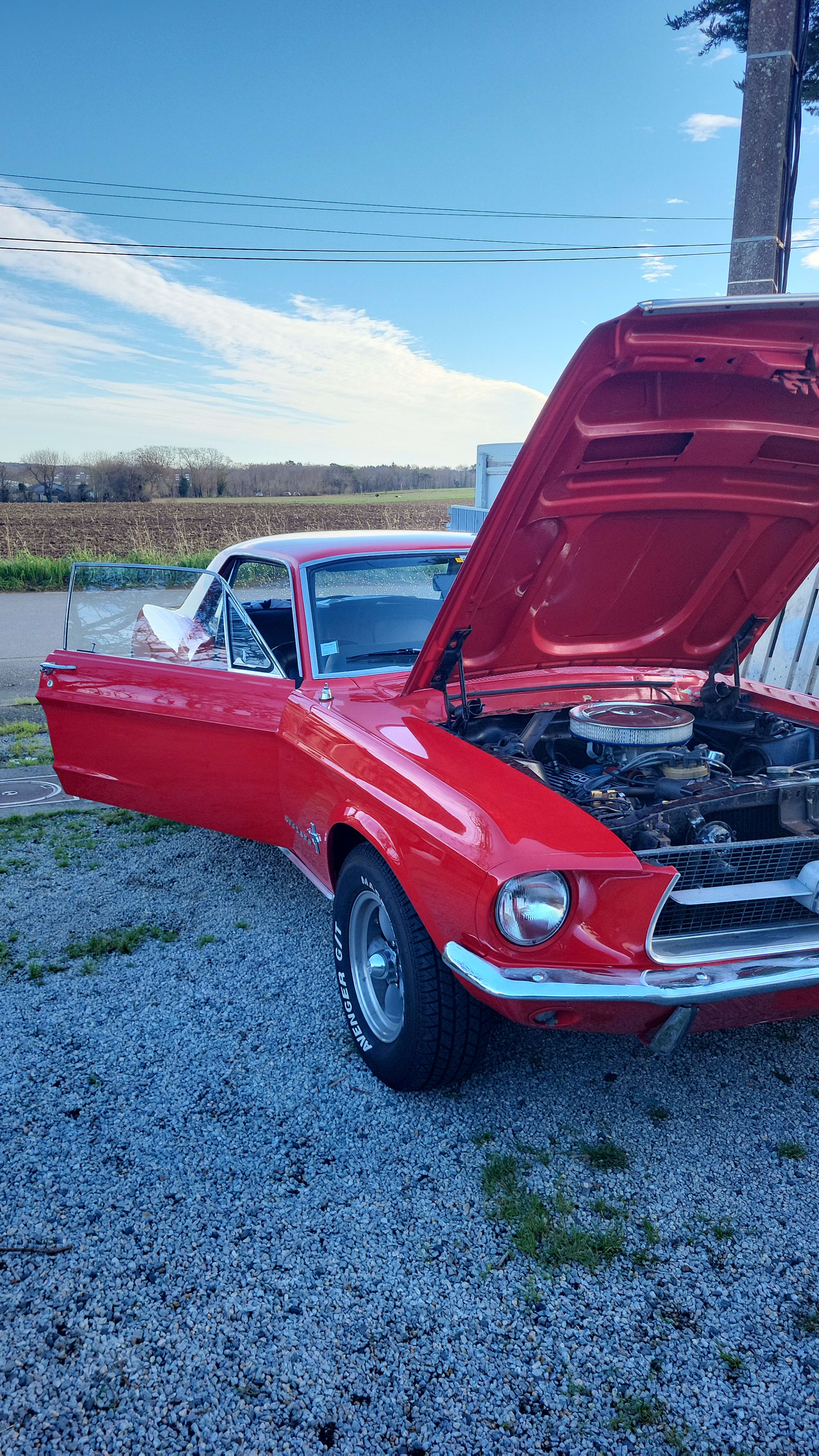 FORD Mustang   1967 occasion mécanique (1)