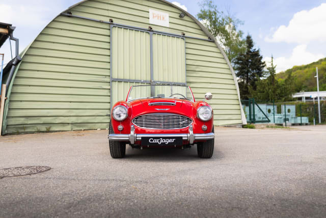 AUSTIN HEALEY 3000   1961 used