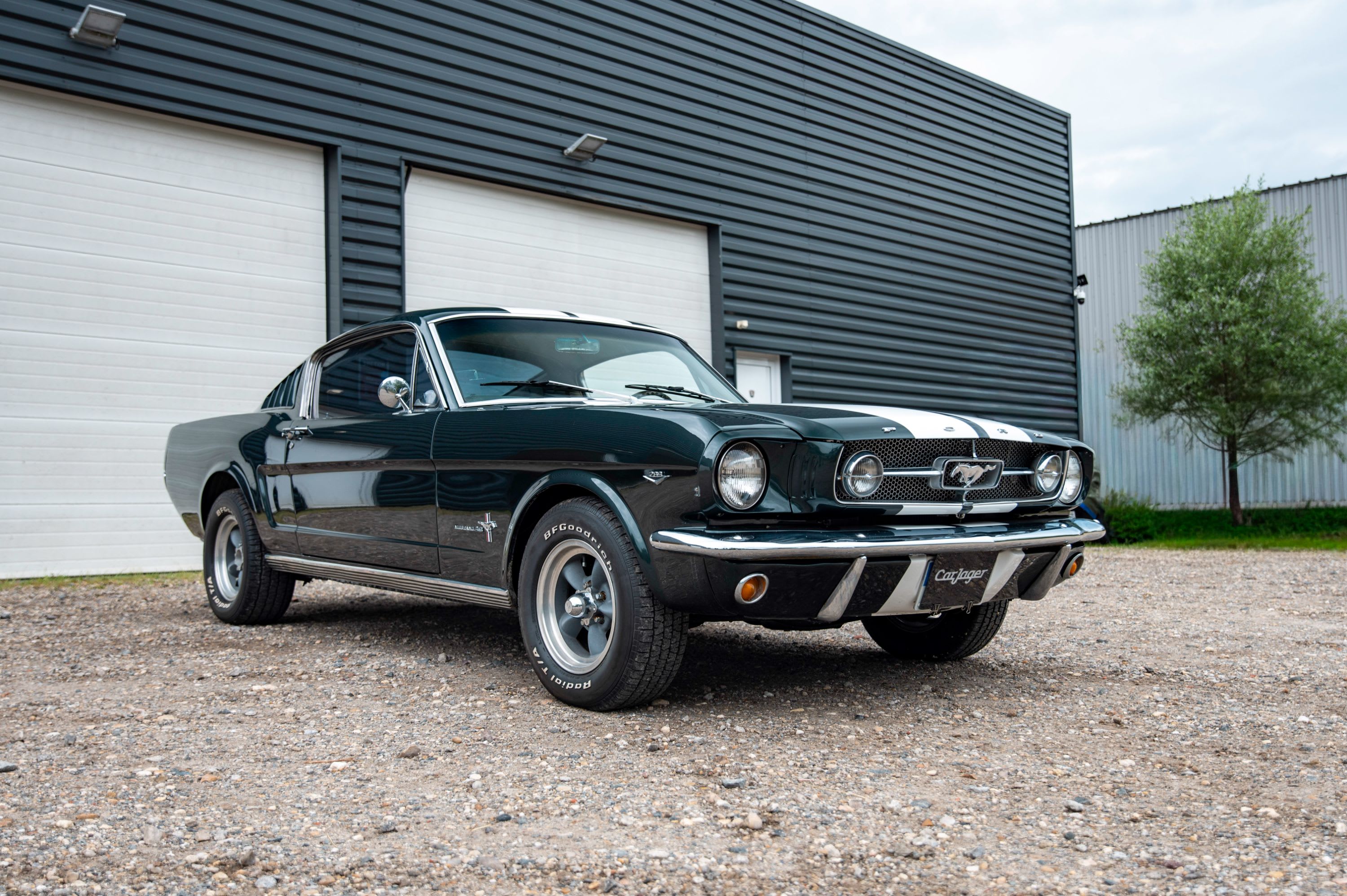 Ford Mustang  Fastback 289ci Code C