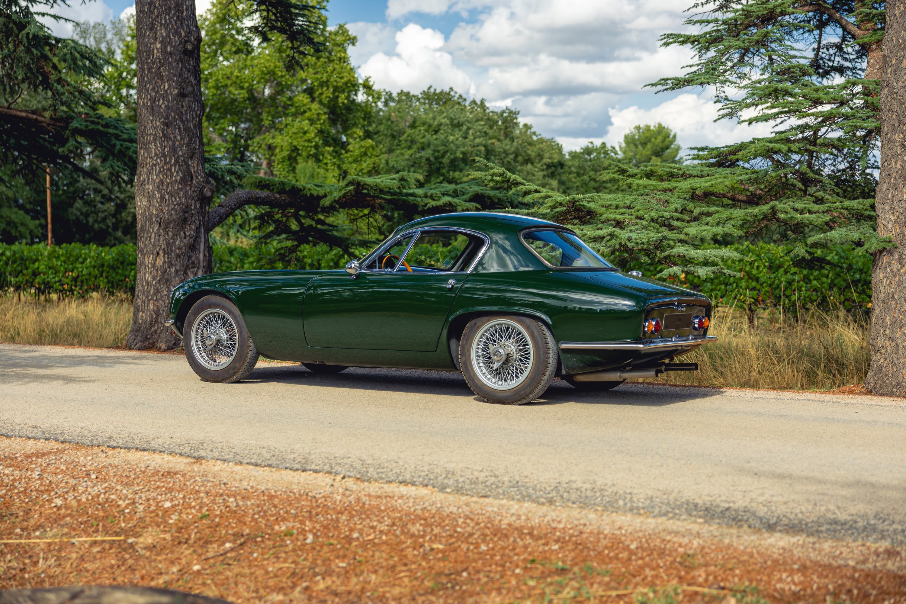 LOTUS Elite Série Ii 1962 occasion extérieur (2)