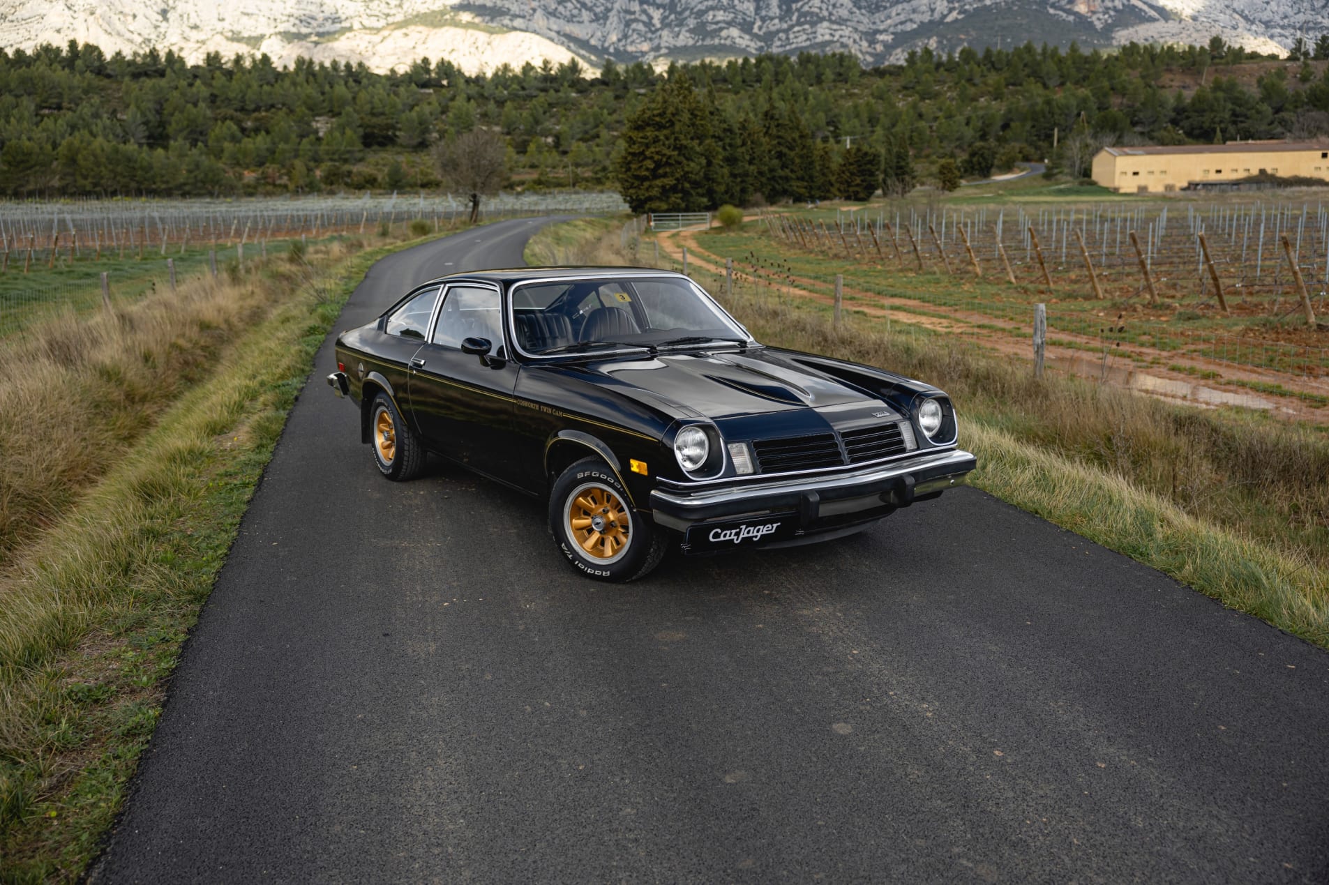 CHEVROLET Cosworth vega 1975