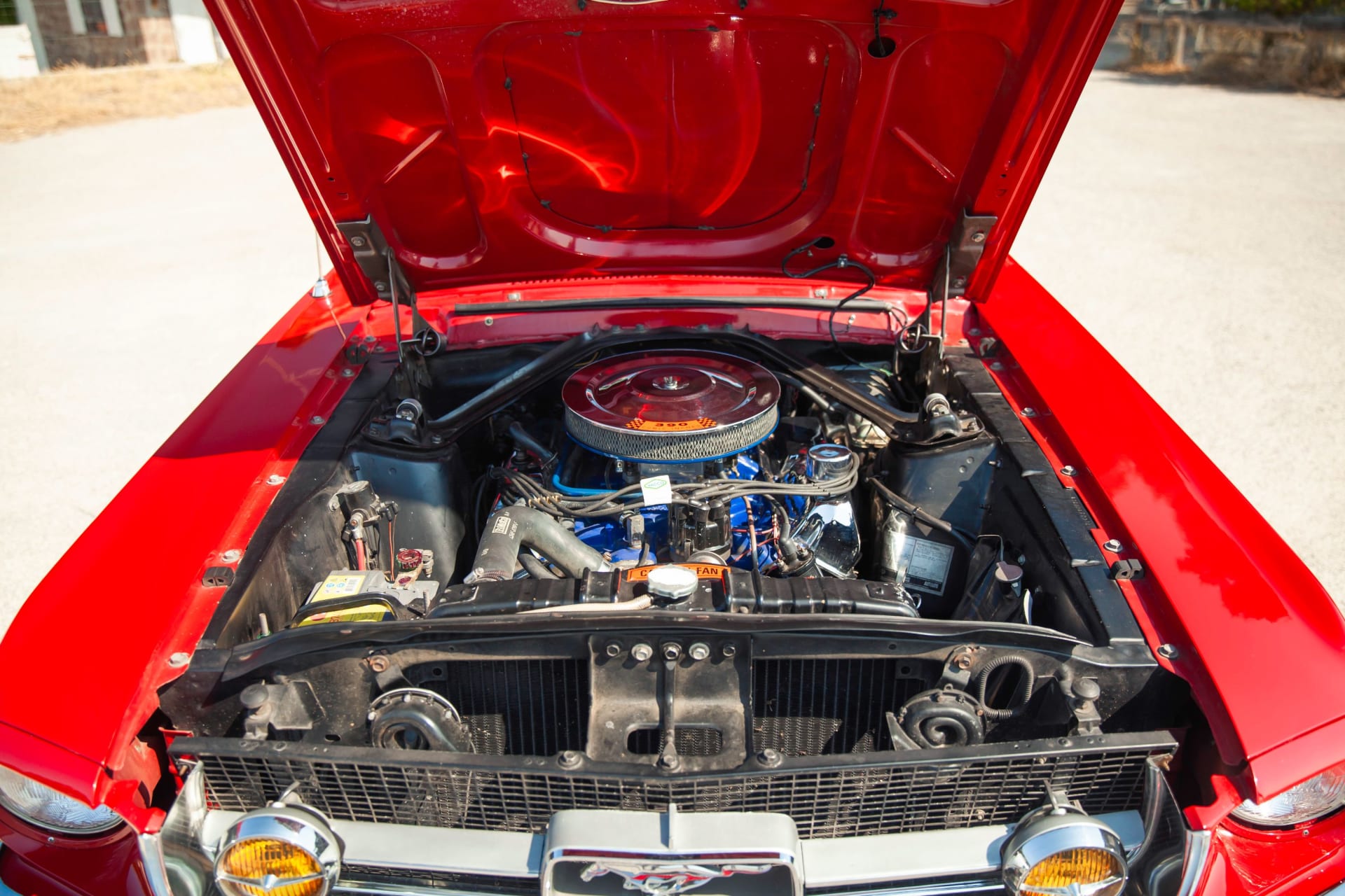 FORD Mustang 390 Gta 1967 occasion mécanique (1)
