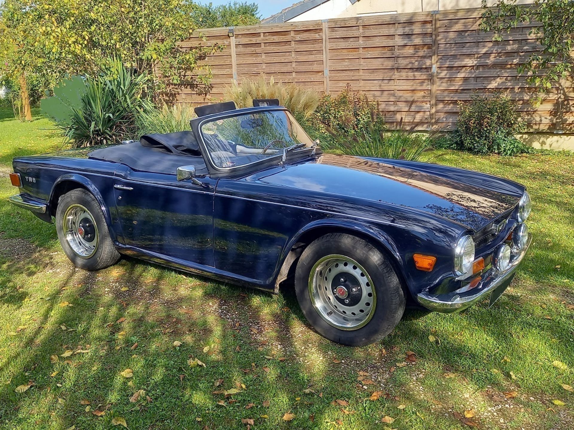 Triumph Tr6 Pi