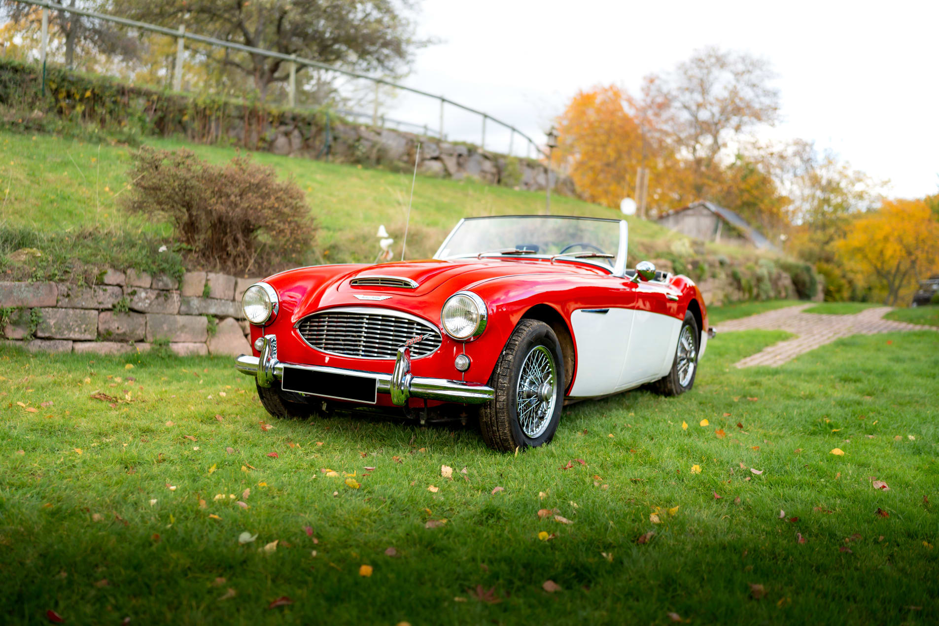 AUSTIN-HEALEY 3000 Mk1 BT7 1960