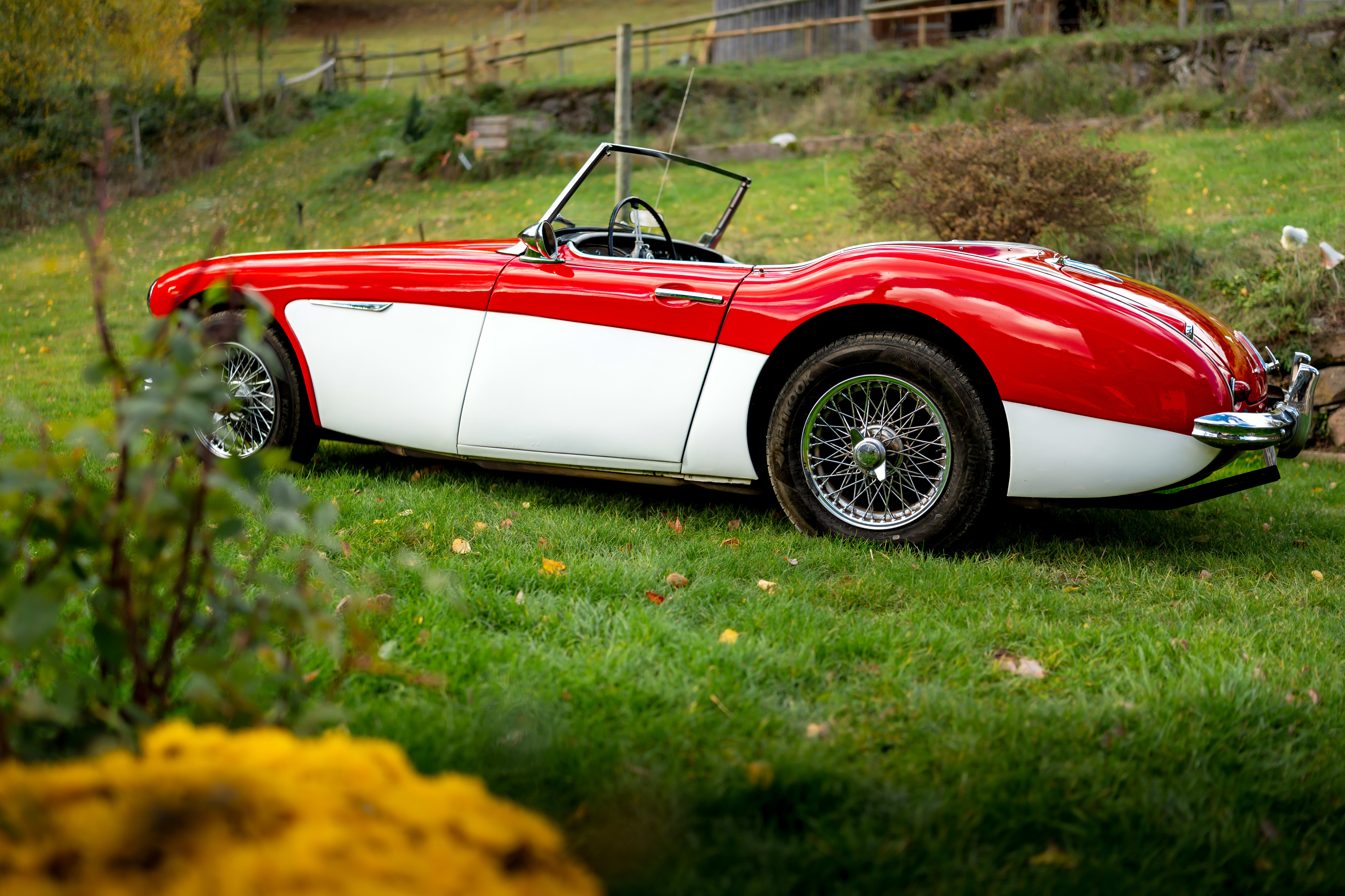 Austin-healey 3000 Bt7 2+2