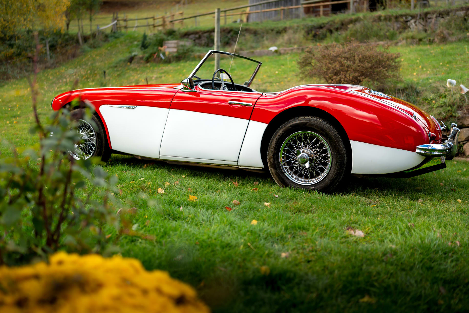 Austin-healey 3000 Bt7 2+2