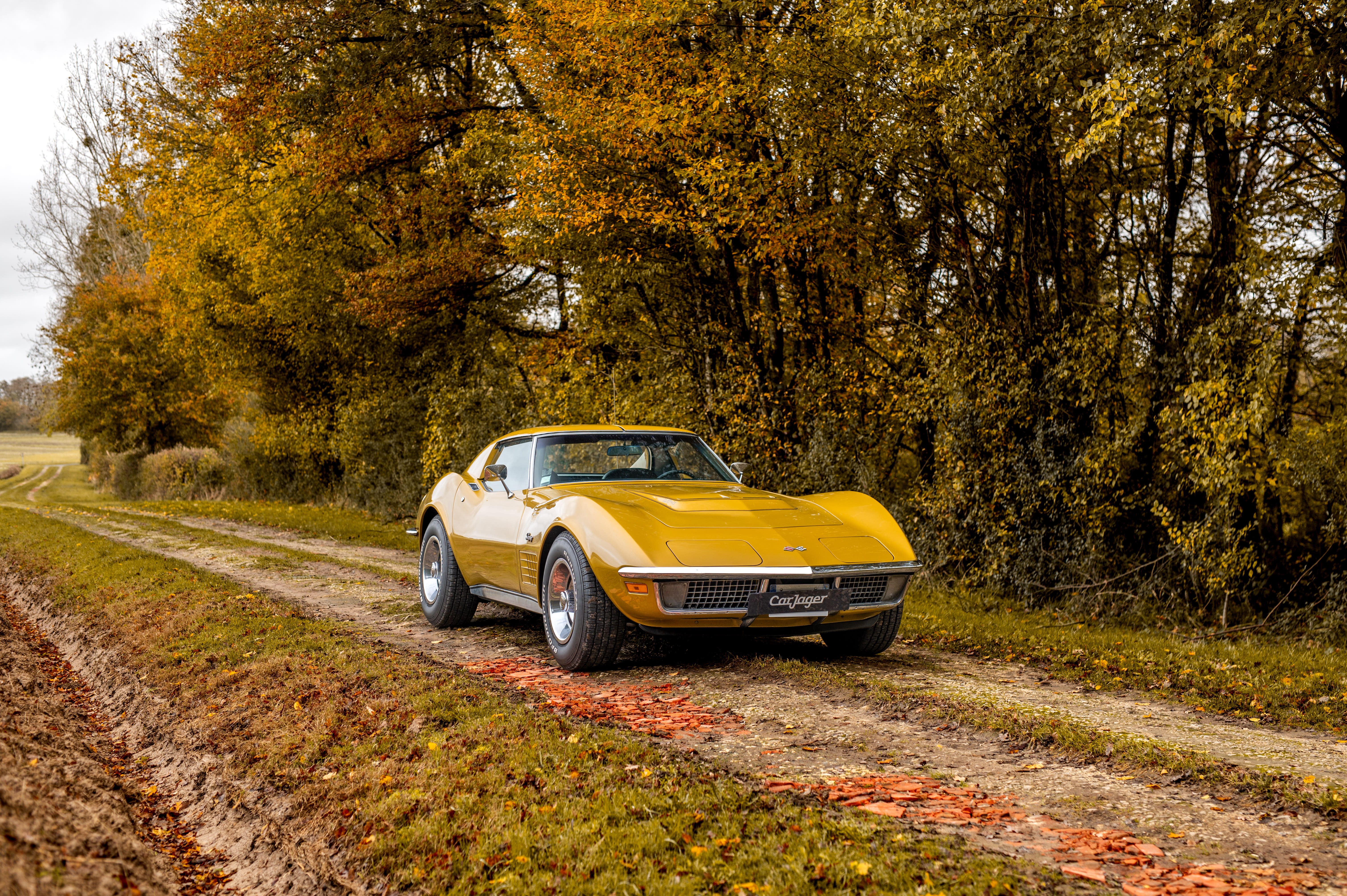 Chevrolet Corvette C3 Lt-1