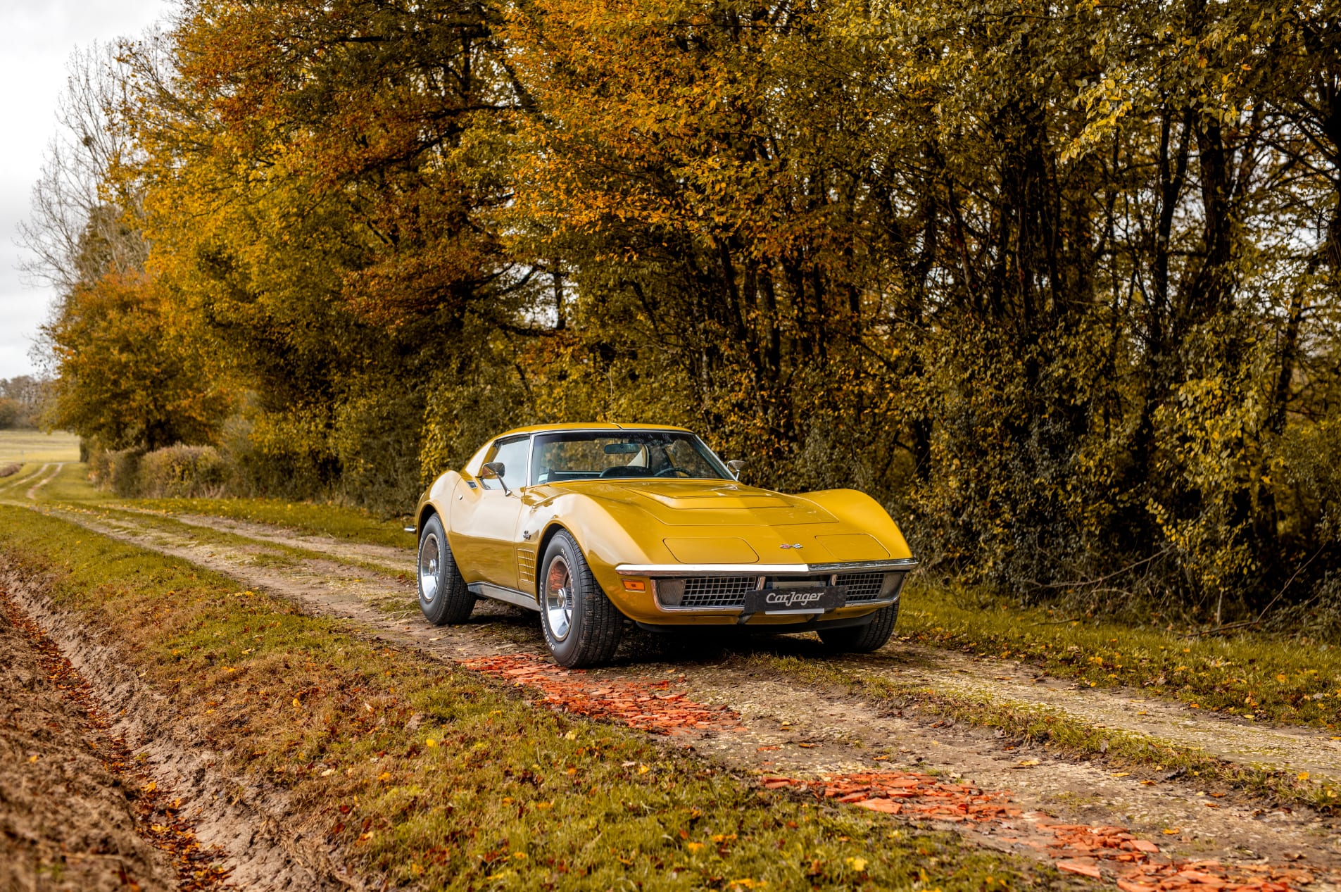 CHEVROLET Corvette C3 LT-1 1971