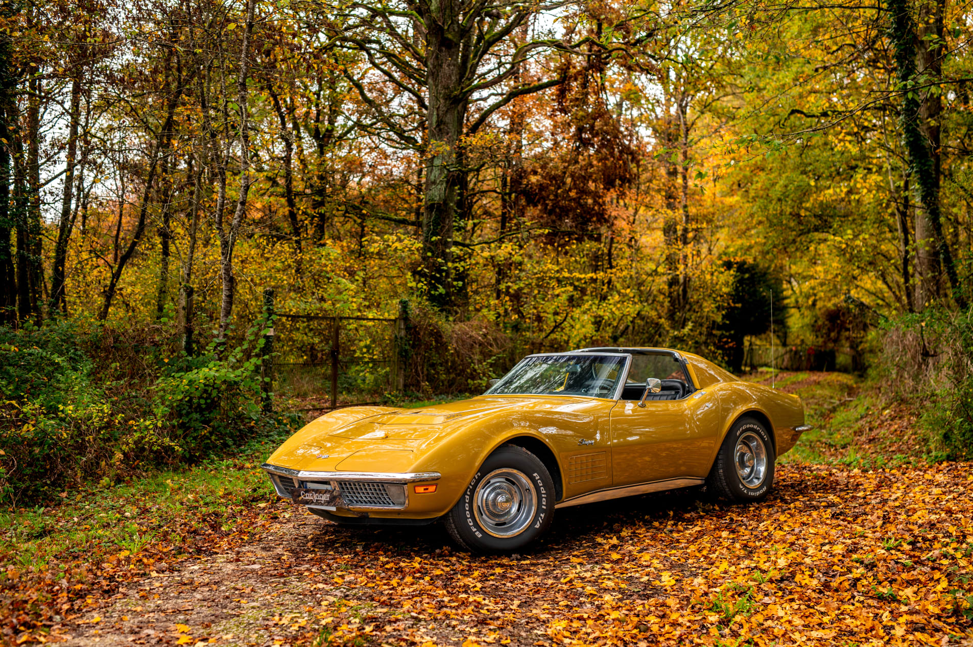 CHEVROLET Corvette C3 LT-1 1971