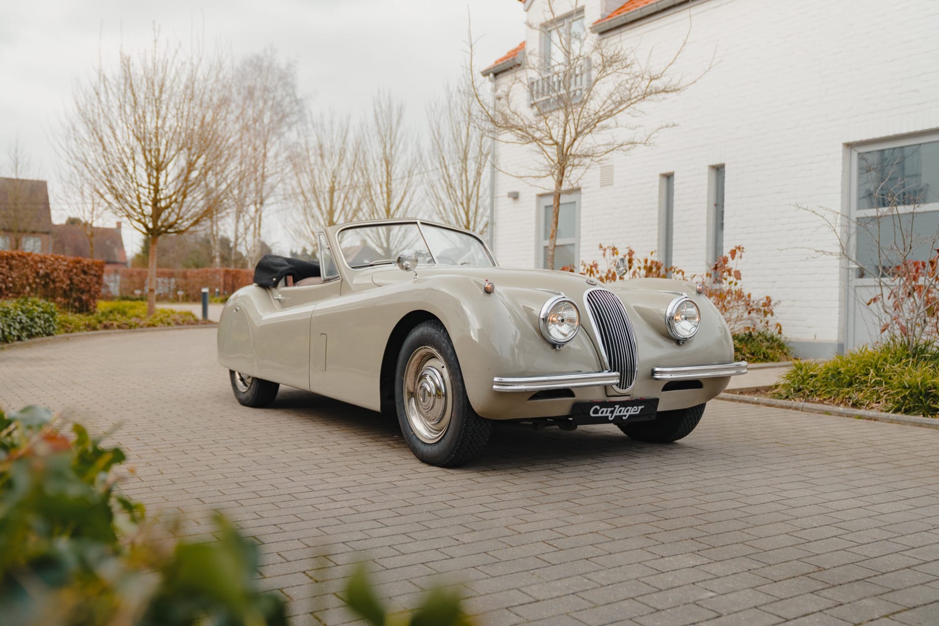 JAGUAR Xk 120 DHC 1953