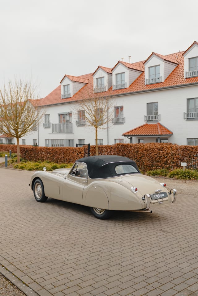 JAGUAR Xk120 Dhc 1953 used