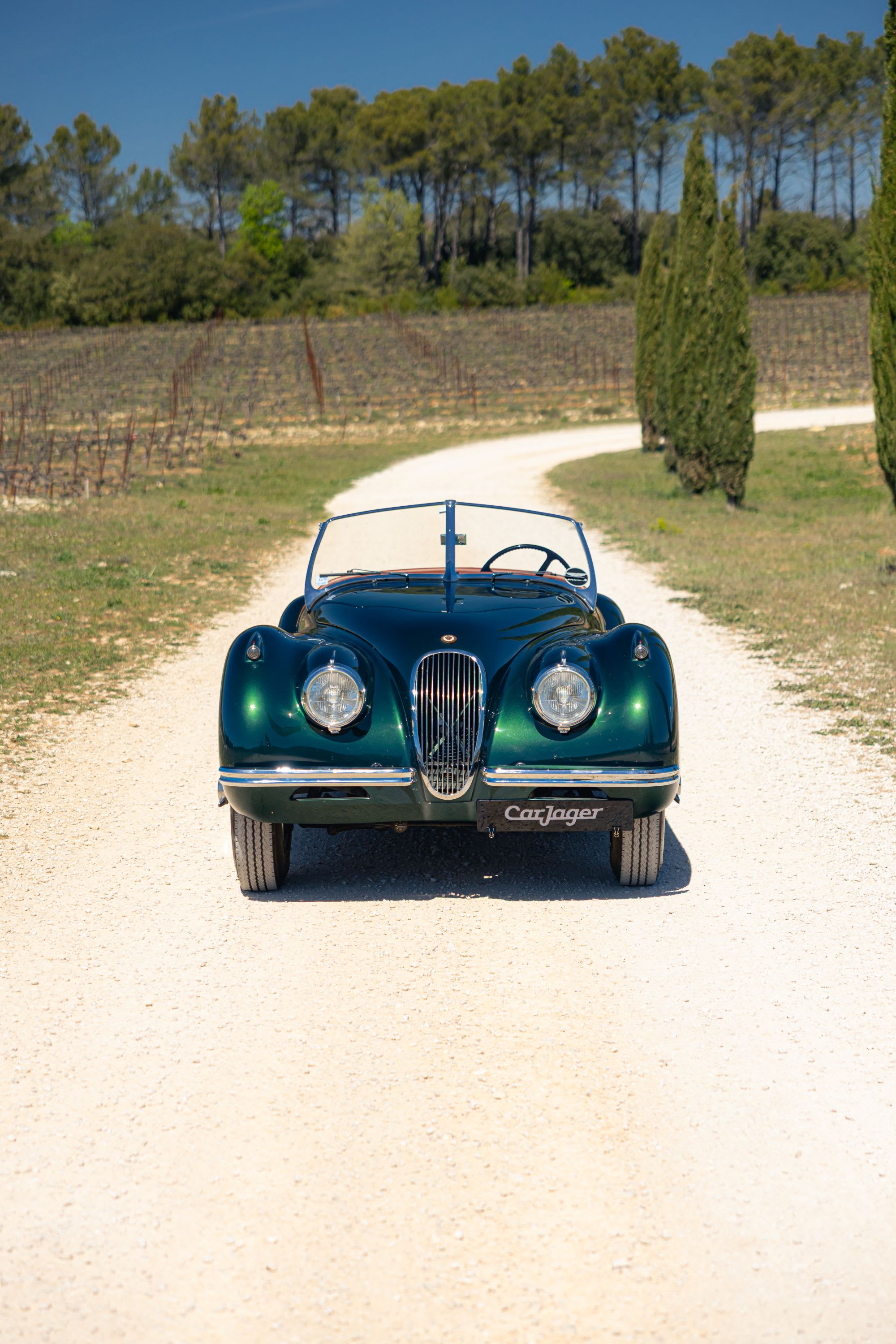 JAGUAR Xk120 Ots Se 1954 occasion détails (1)