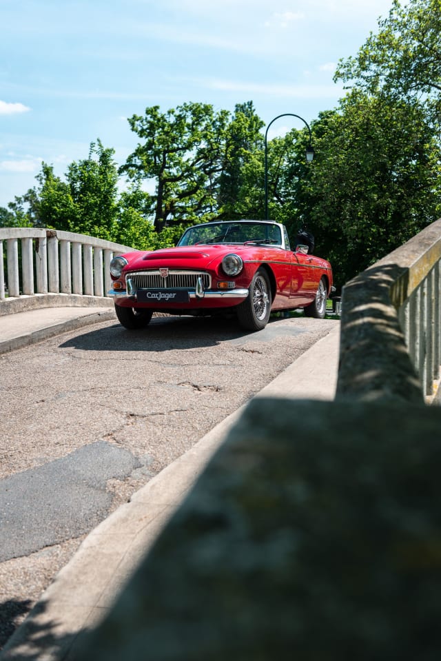 Mg C