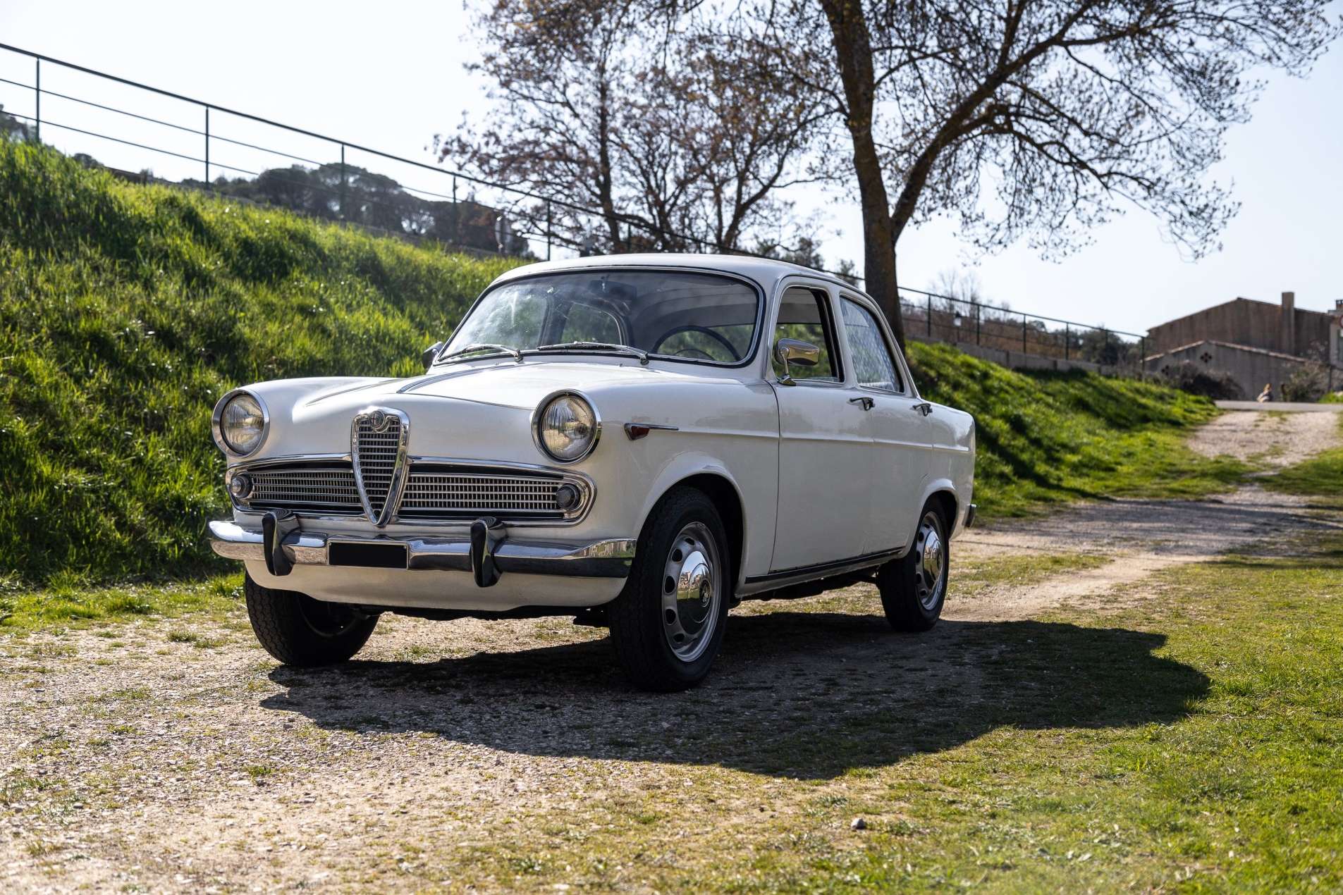 Photo ALFA ROMEO Giulietta ti 1962