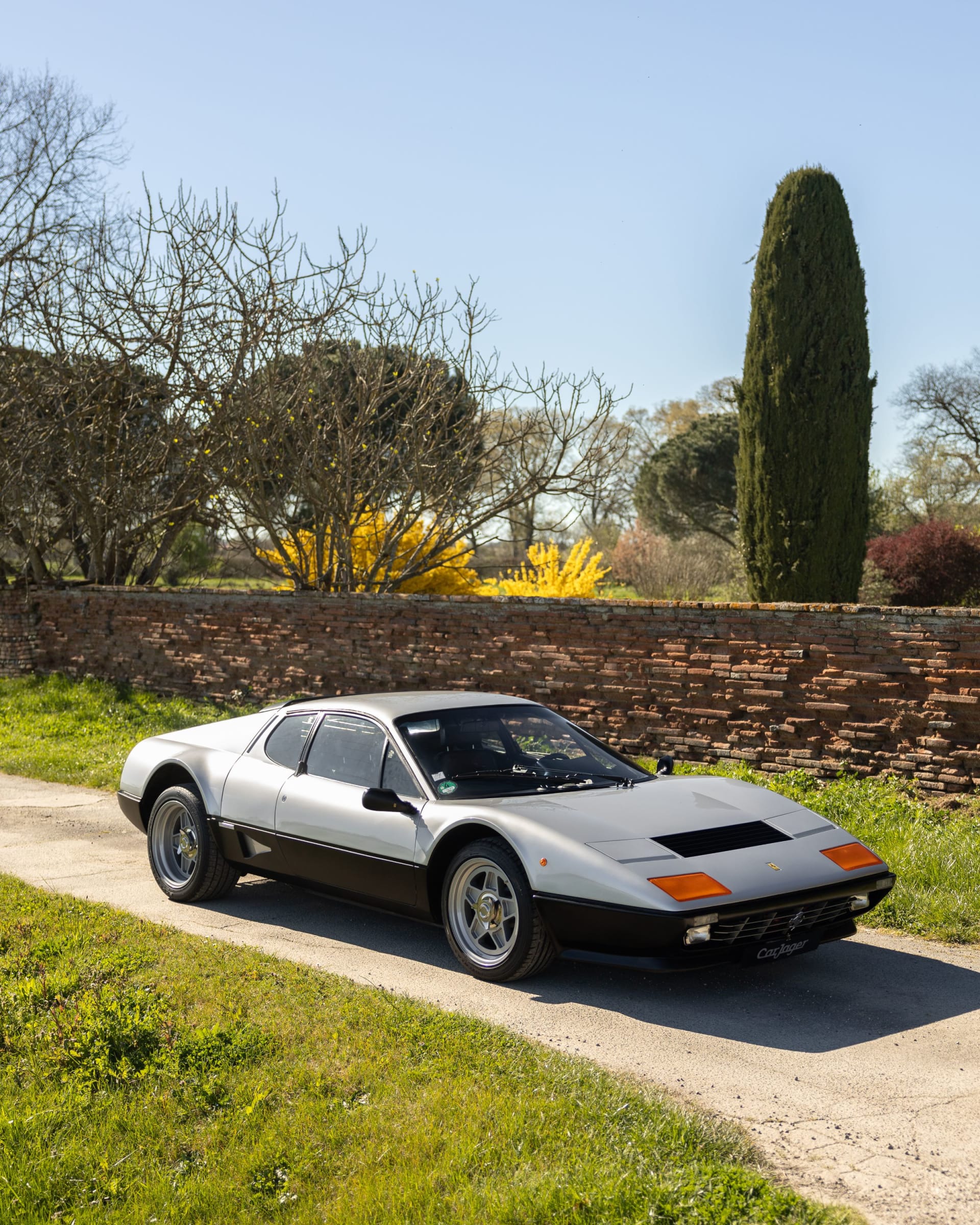 FERRARI Bb 512 I 1982 usado detalles (1)