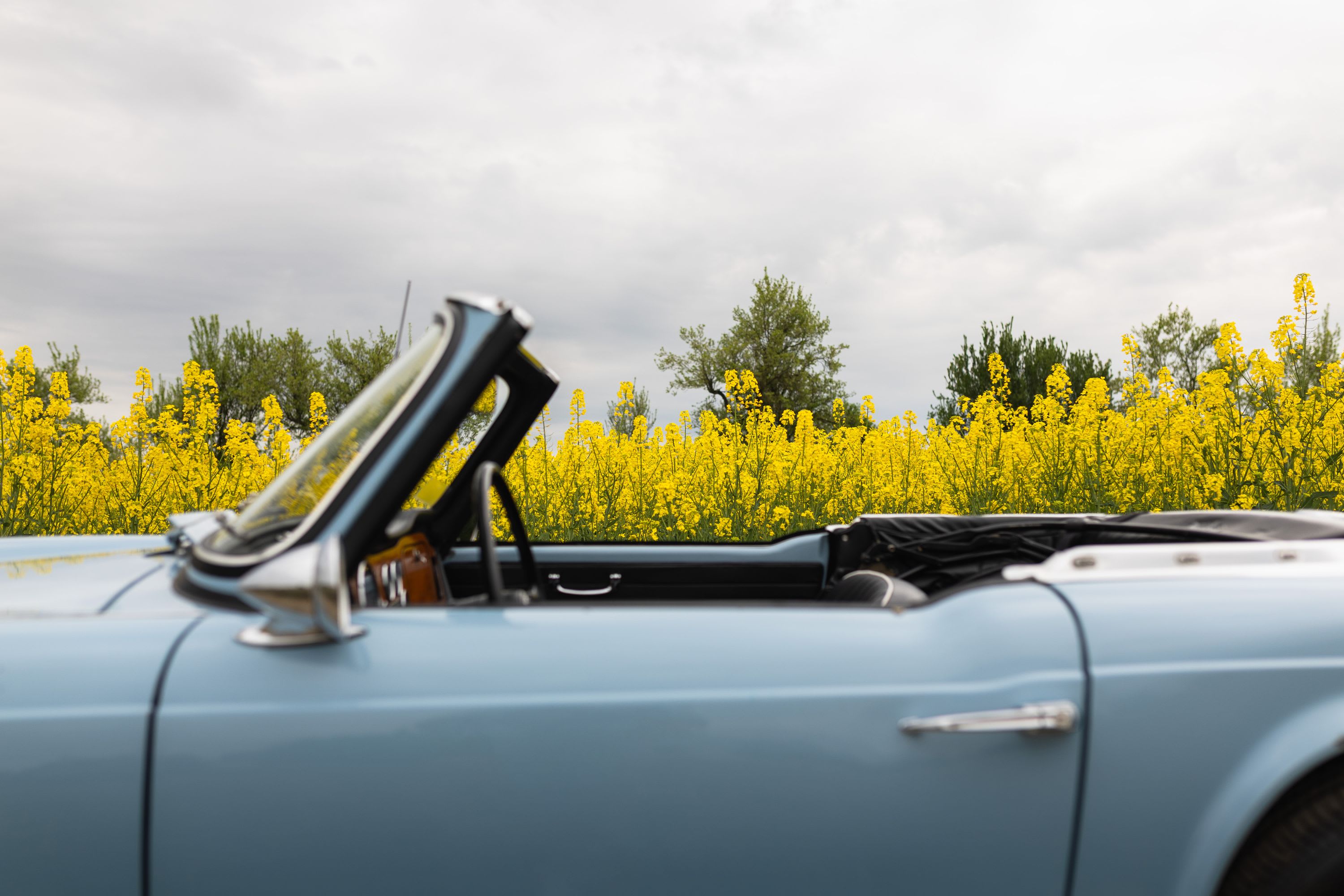 TRIUMPH Tr4 1964 used details (1)