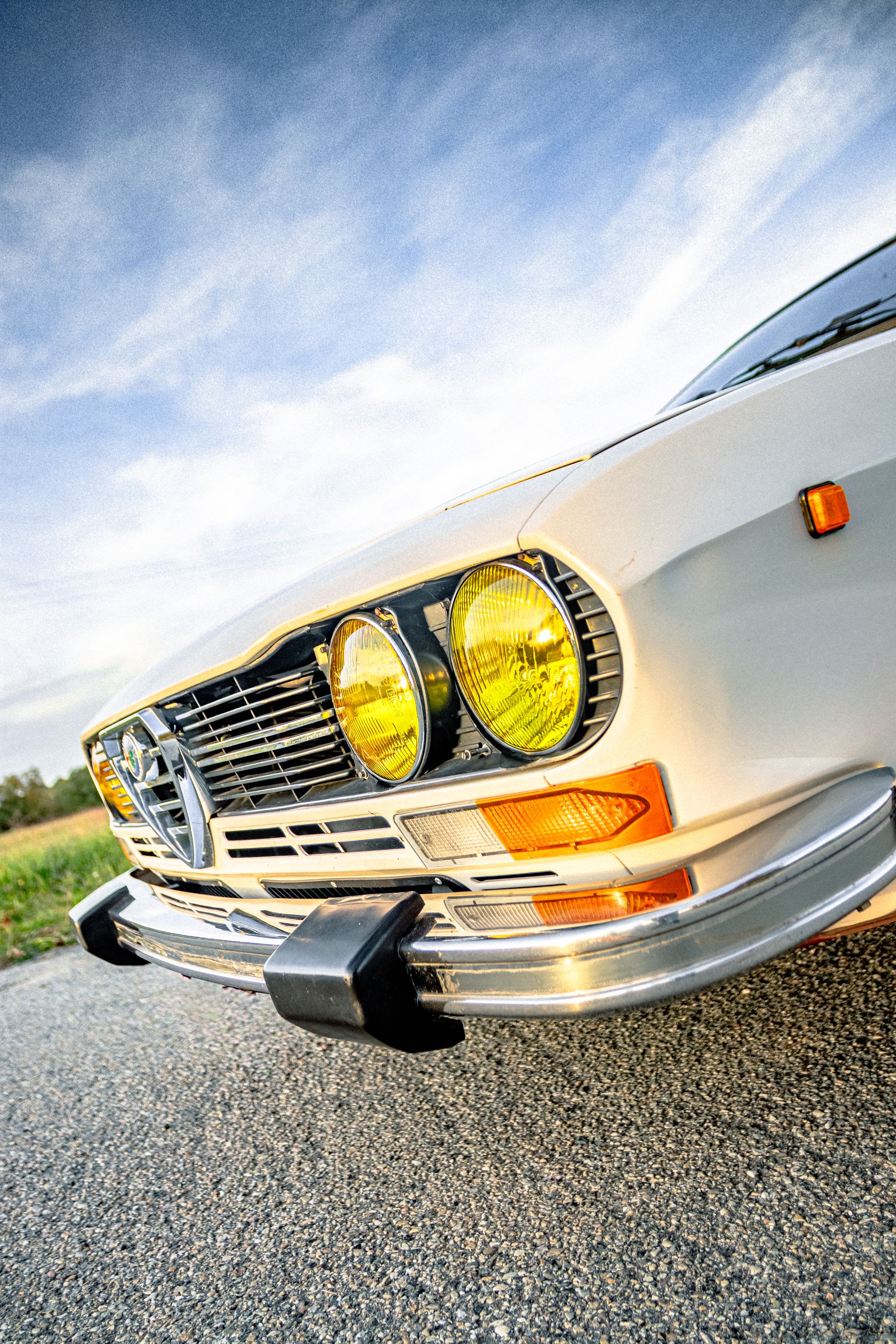 ALFA ROMEO Alfetta Gtv 2000 1978 occasion détails (1)