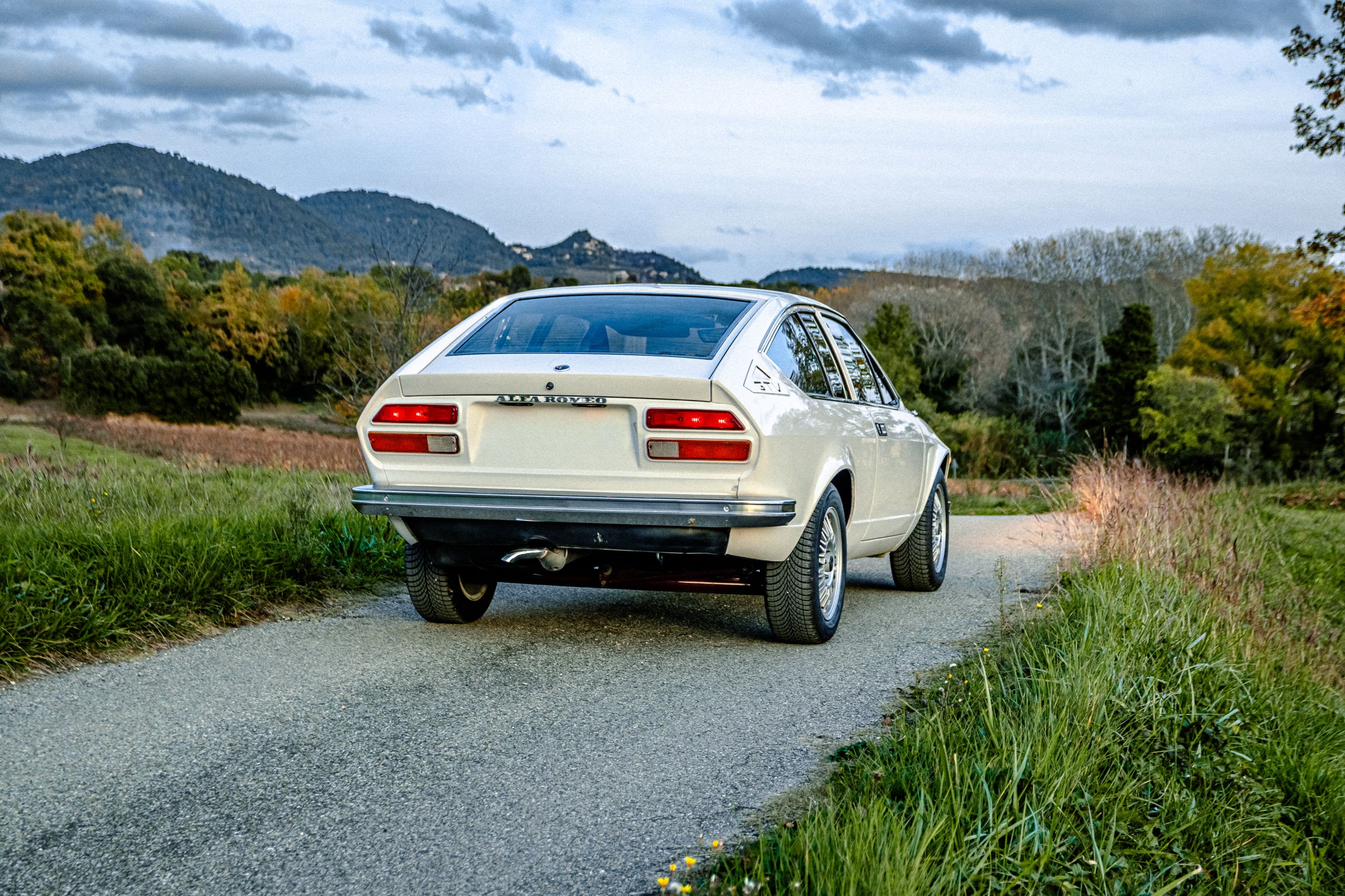 ALFA ROMEO Alfetta Gtv 2000 1978 occasion extérieur (2)