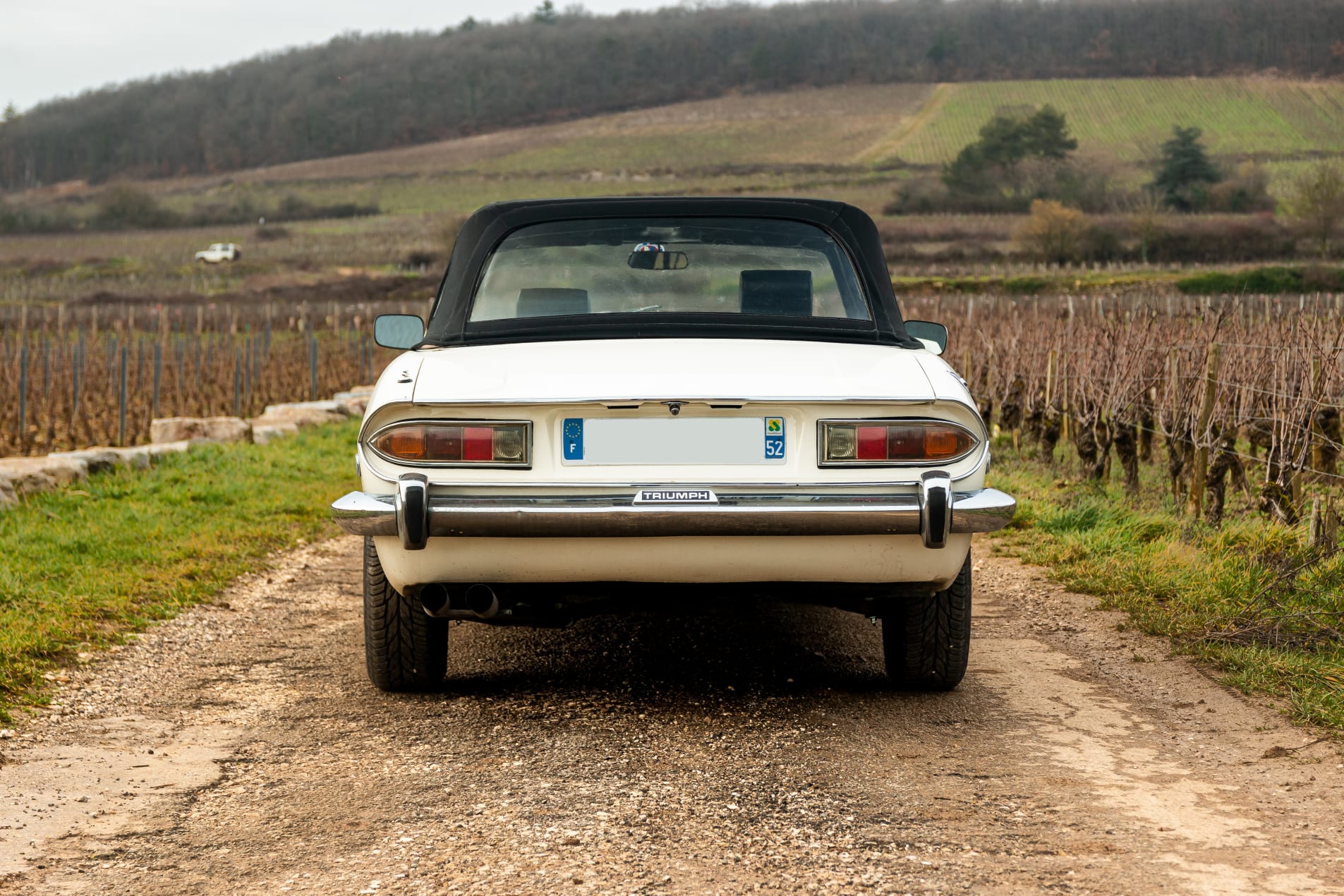 triumph stag v8