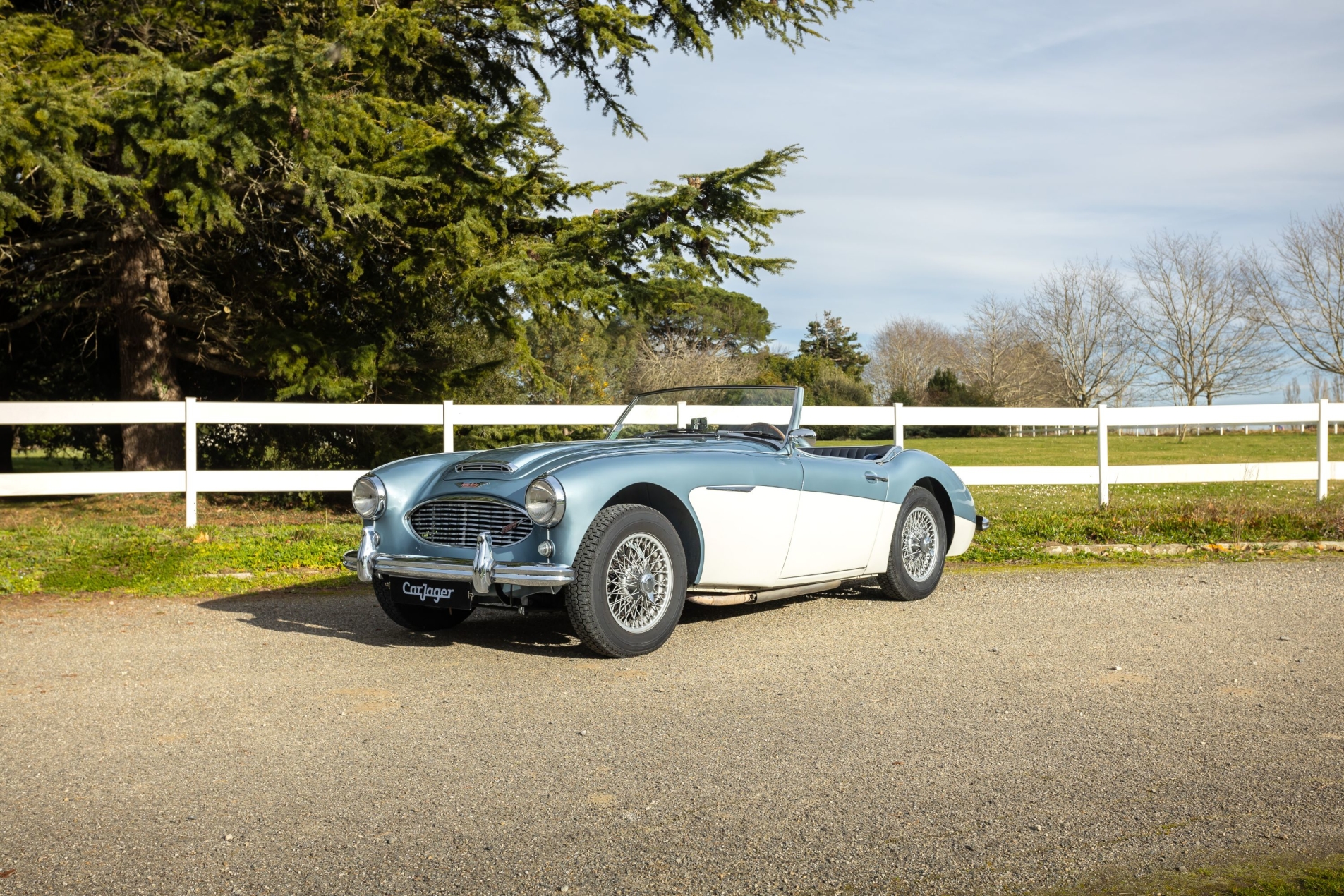 Photo AUSTIN-HEALEY 3000  BT7 1961