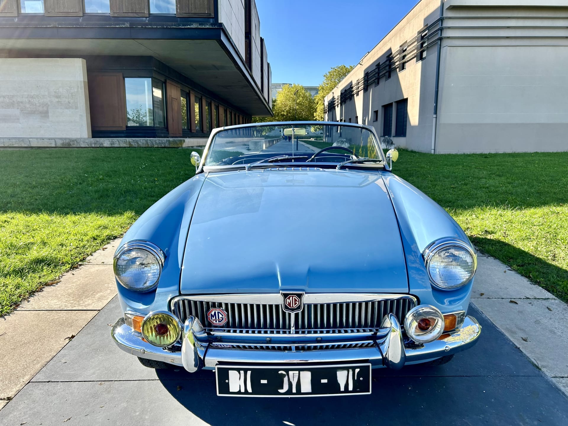 Mg B