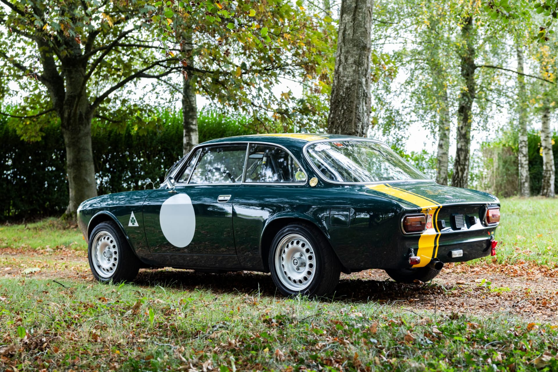 Alfa Romeo 1750 Gt Veloce Pth Fia