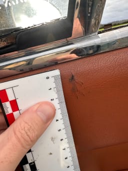 ALFA ROMEO Giulia Tipo 105 Sprint Gt Veloce 1967 occasion