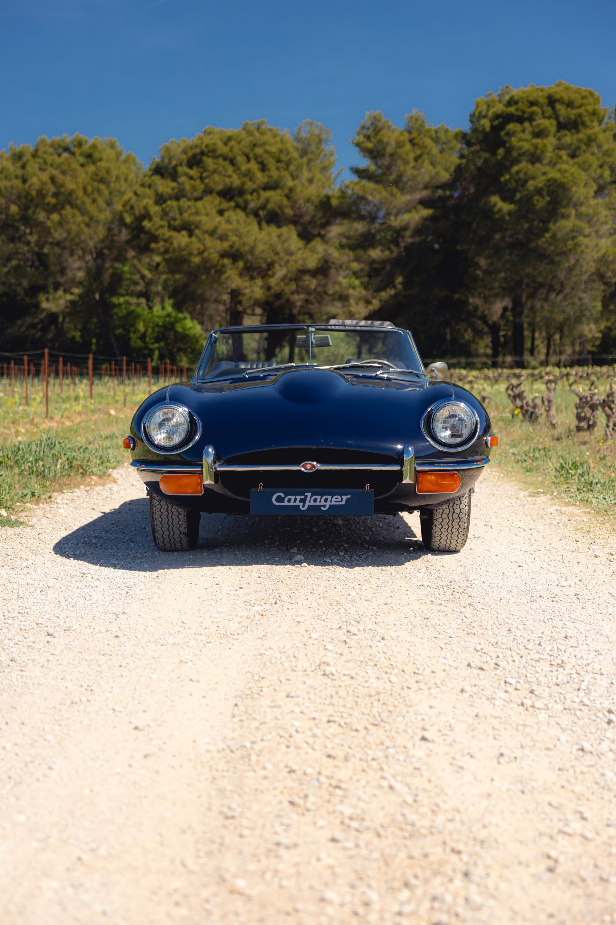 JAGUAR Type E Serie 2 4.2 Cabriolet 1969 occasion détails (1)