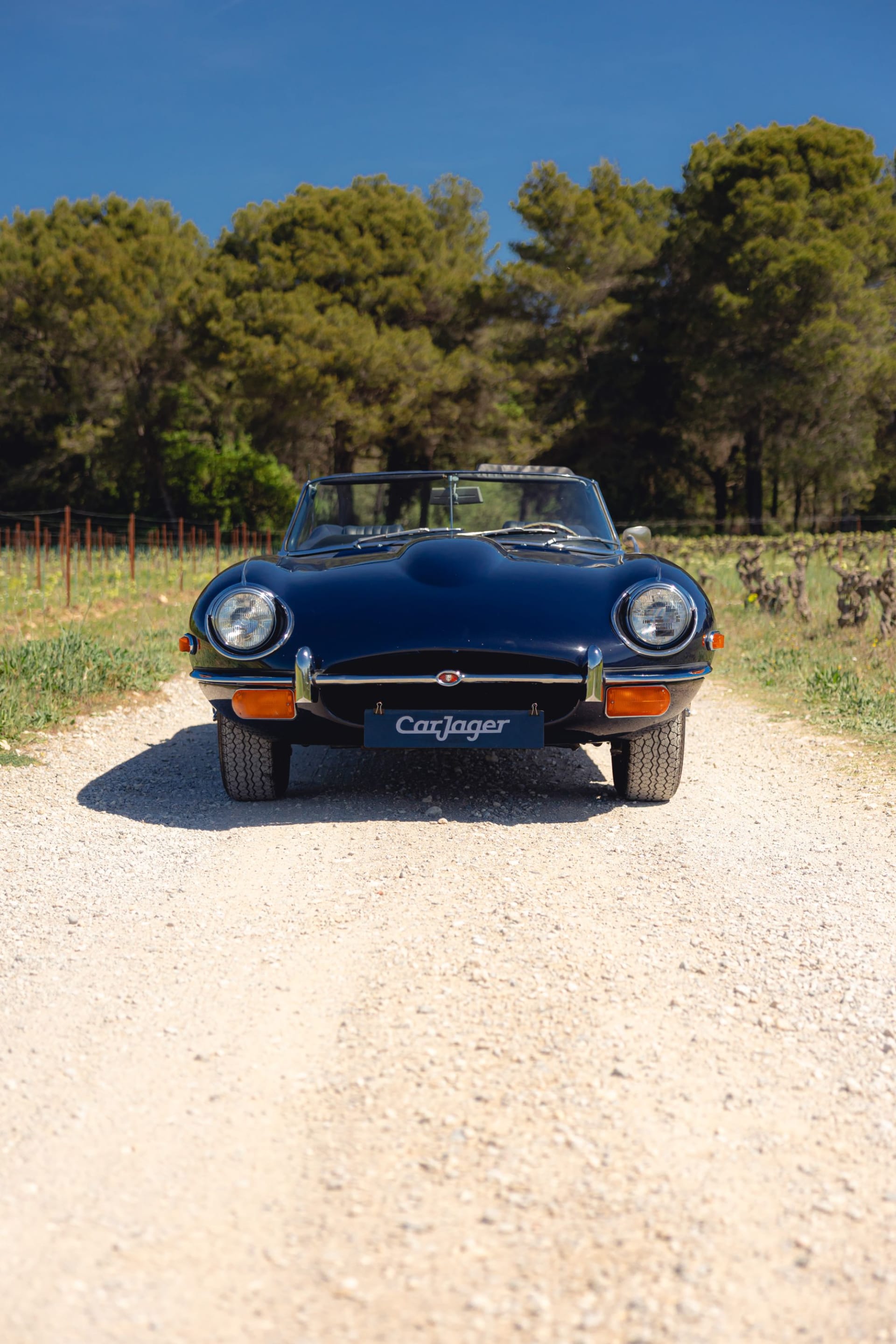 JAGUAR Type E Serie 2 4.2 Cabriolet 1969 usado detalles (1)