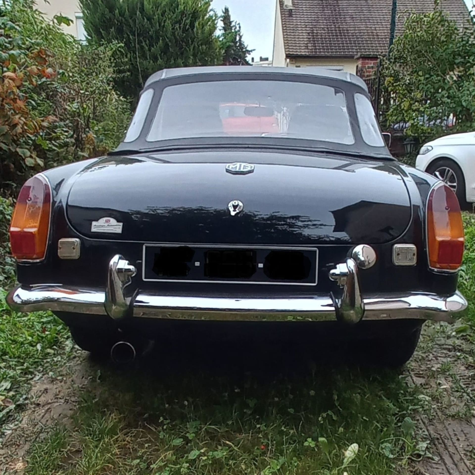 Mg B