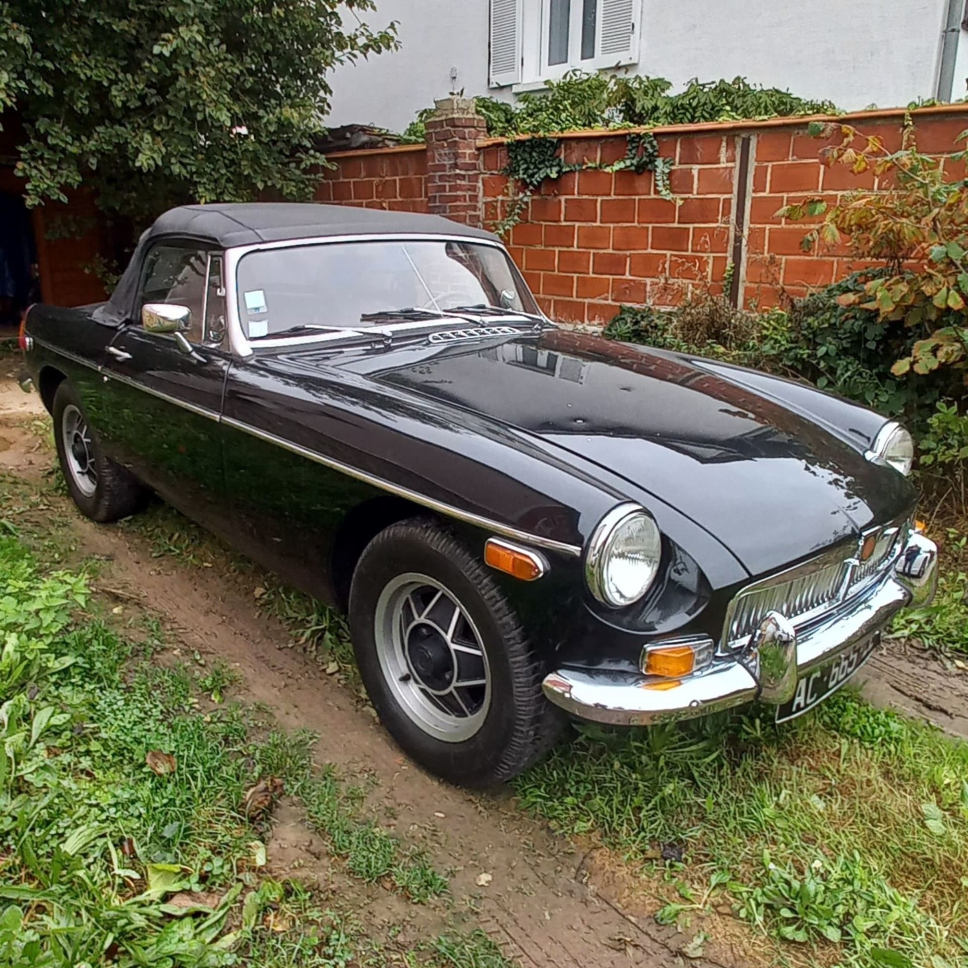 Mg B