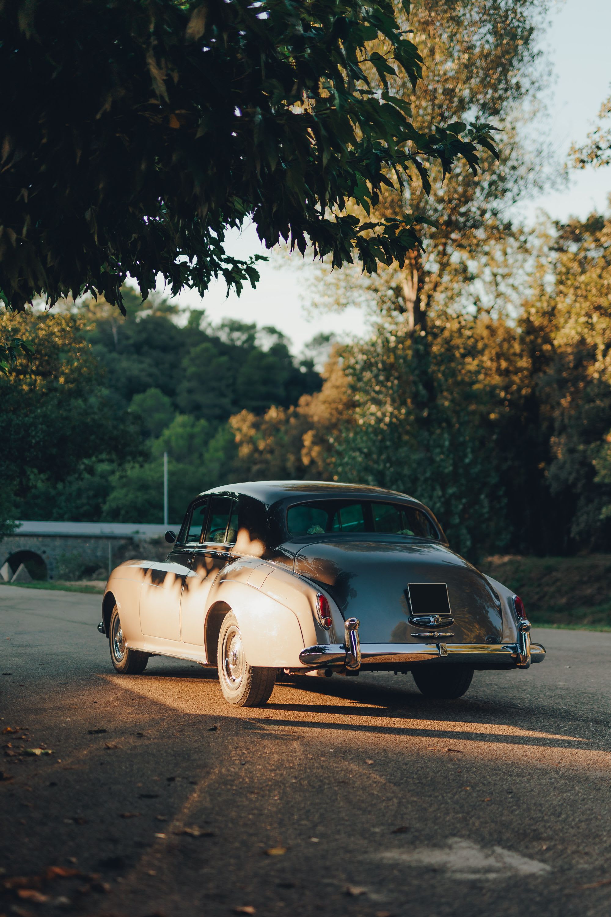 ROLLS ROYCE Silver Cloud I 1959 occasion extérieur (2)