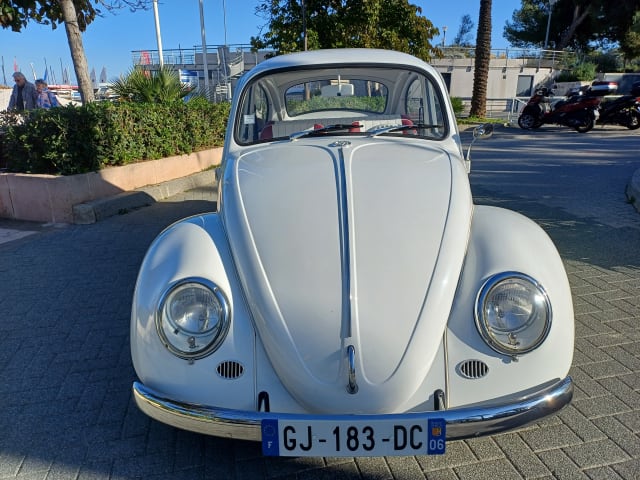 VOLKSWAGEN Coccinelle   1972 occasion