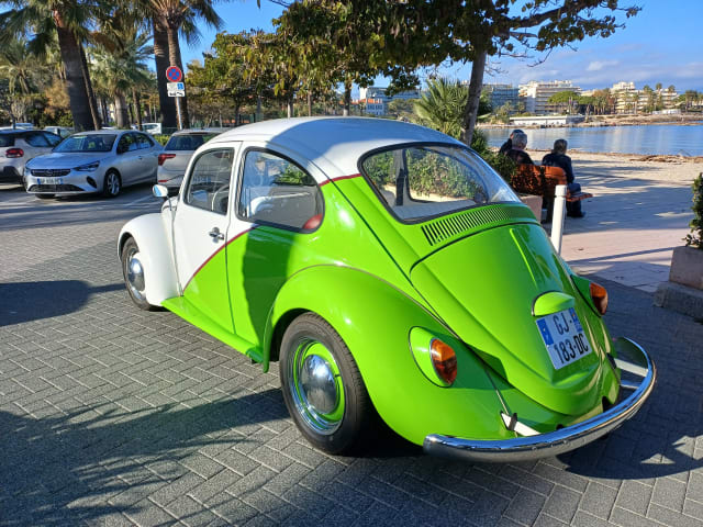 VOLKSWAGEN Coccinelle   1972 occasion