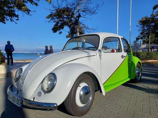 VOLKSWAGEN Coccinelle   1972 occasion