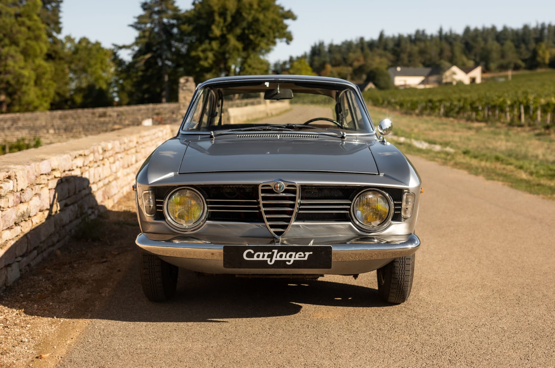 Alfa Romeo Giulia Tipo 105 Sprint GT Veloce