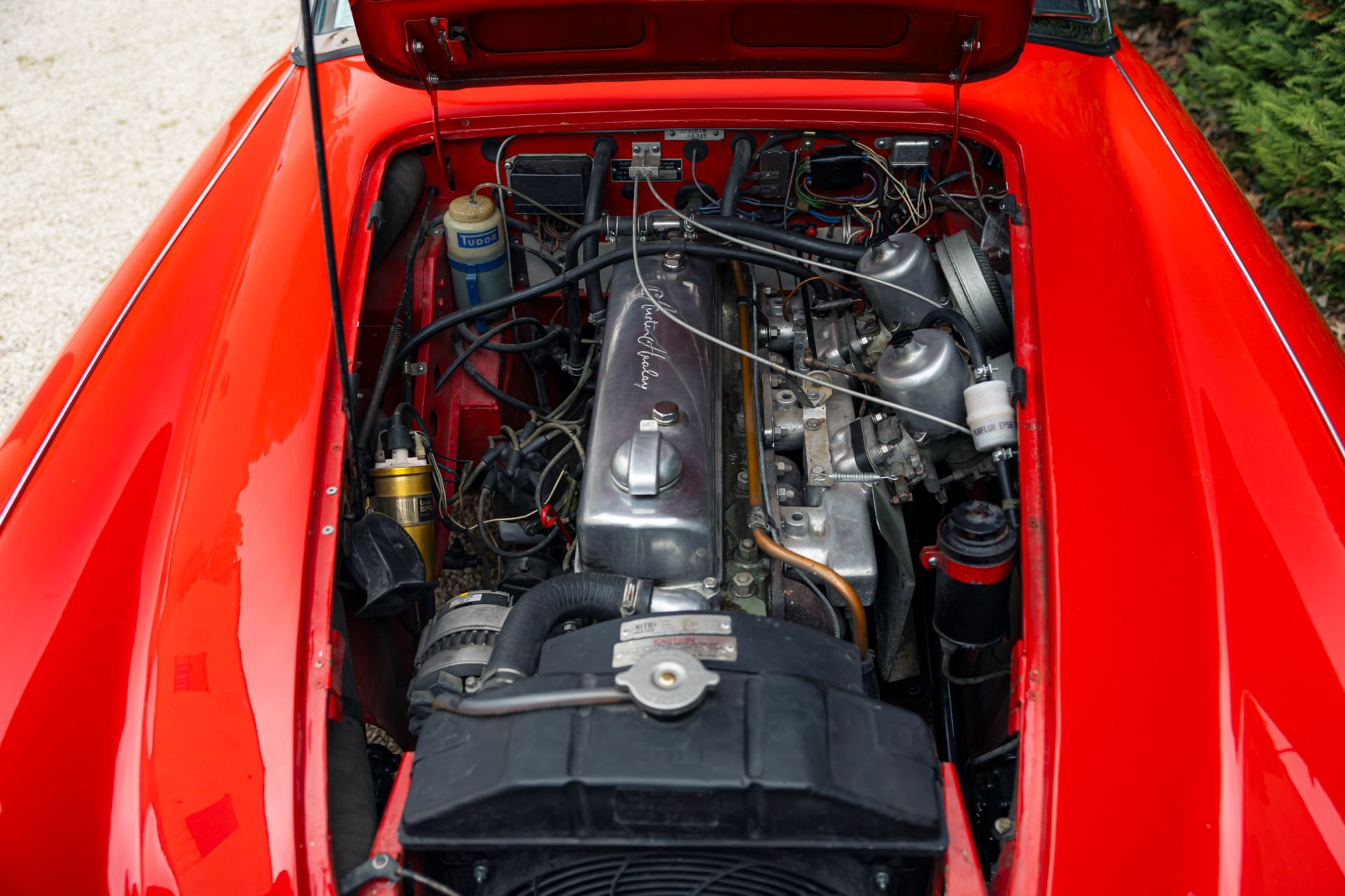 AUSTIN HEALEY 3000 Mark Iii   1967 occasion mécanique (1)