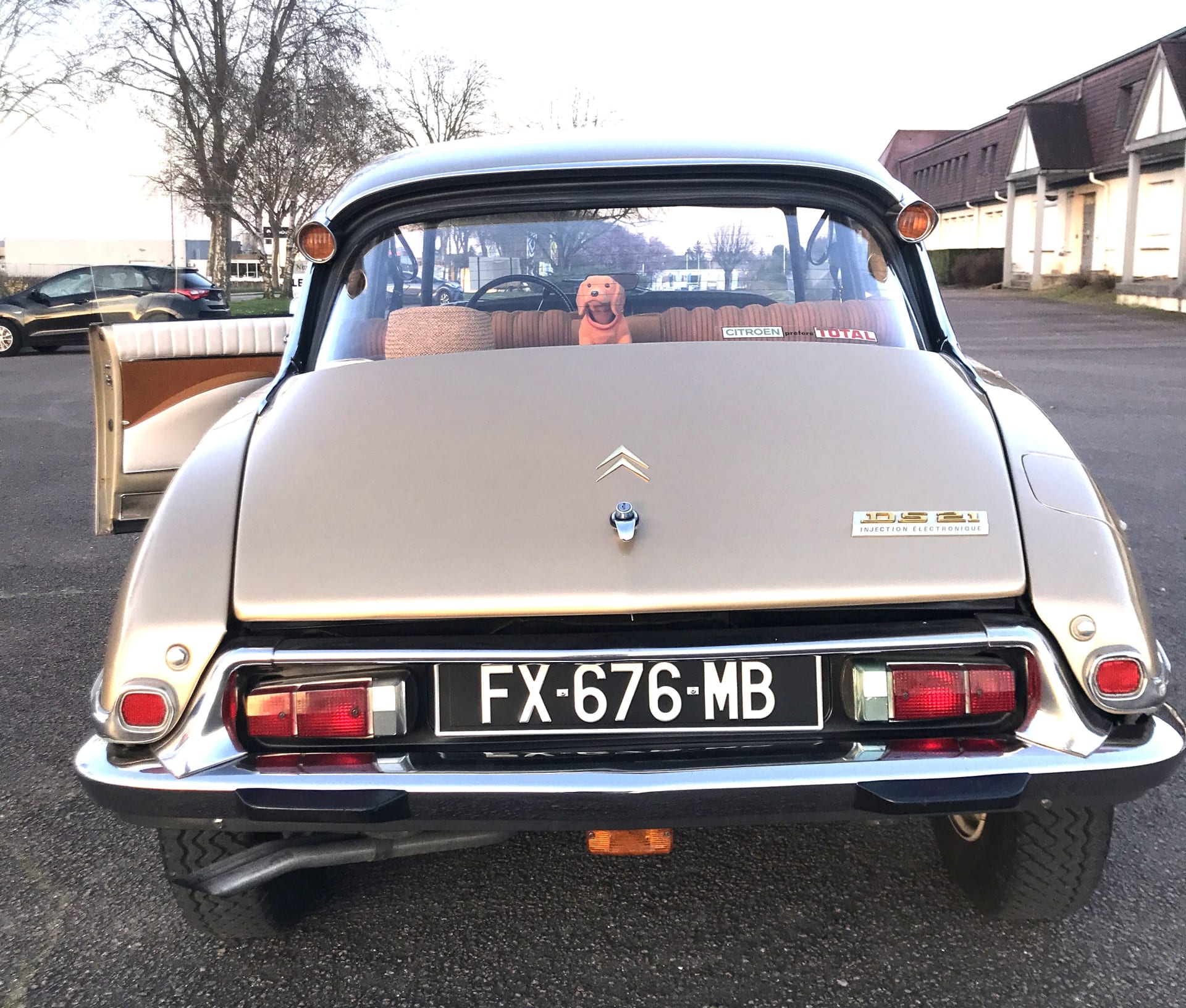 Citroën Ds 21 Injection Pallas