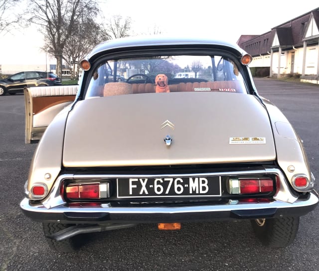 CITROEN Ds 21 Injection Pallas 1970 occasion