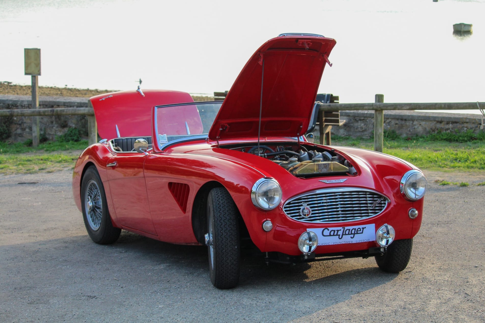 AUSTIN-HEALEY 100 100 6 1958