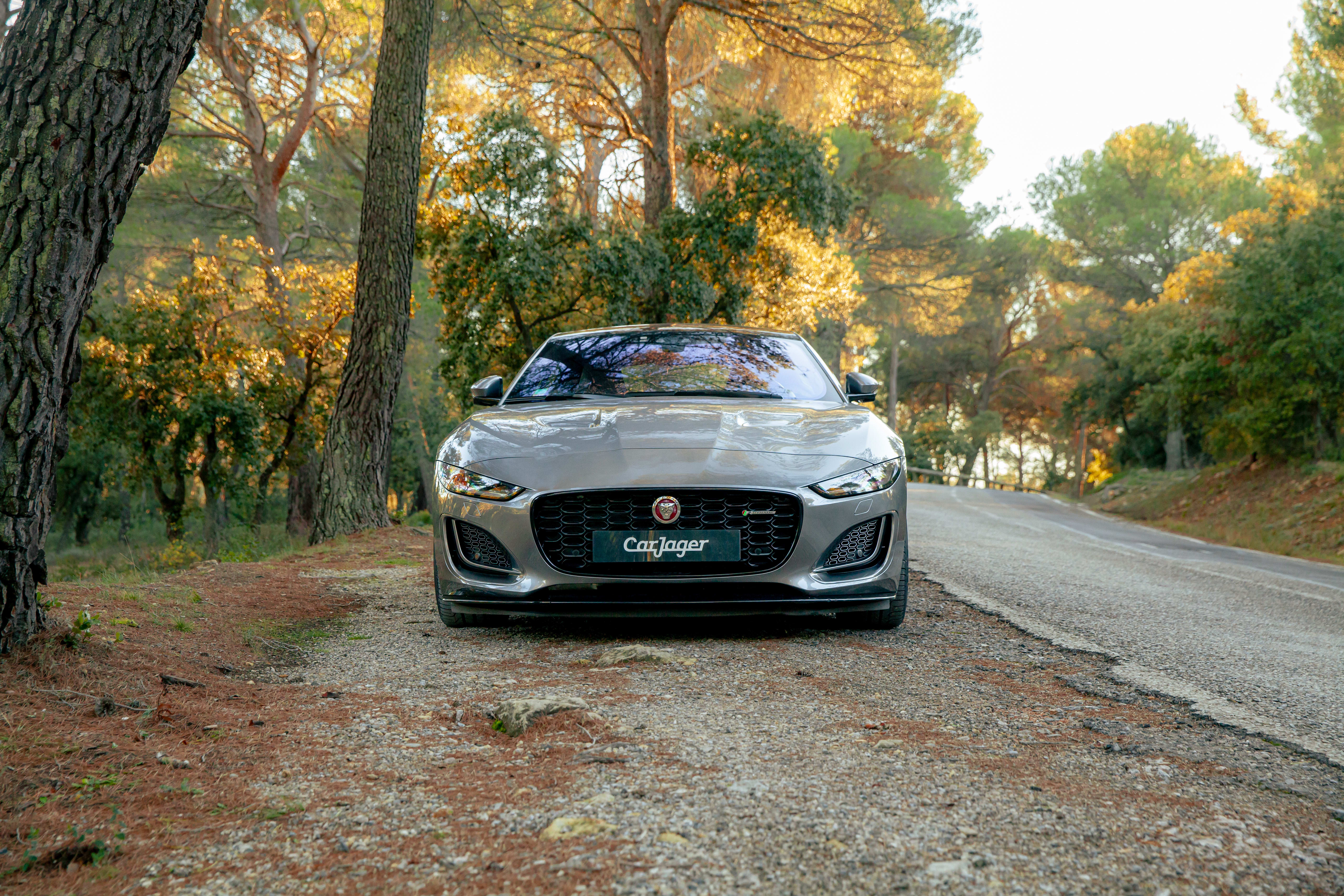 JAGUAR F-type P300 2020 occasion vidéo (1)
