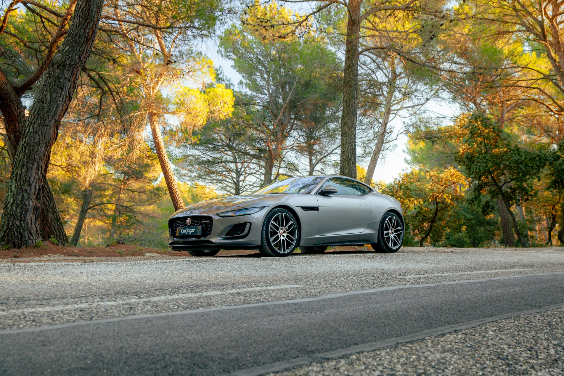 jaguar f-type F Type - R dynamic1