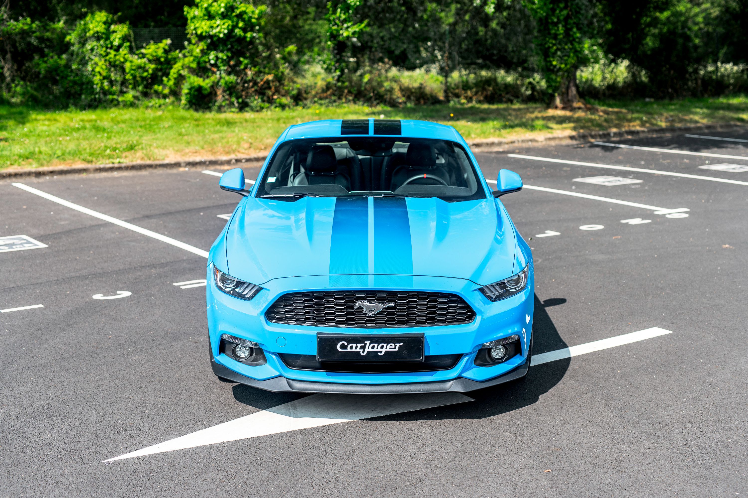 FORD Mustang Blue Edition Fastback 2017 used video (1)