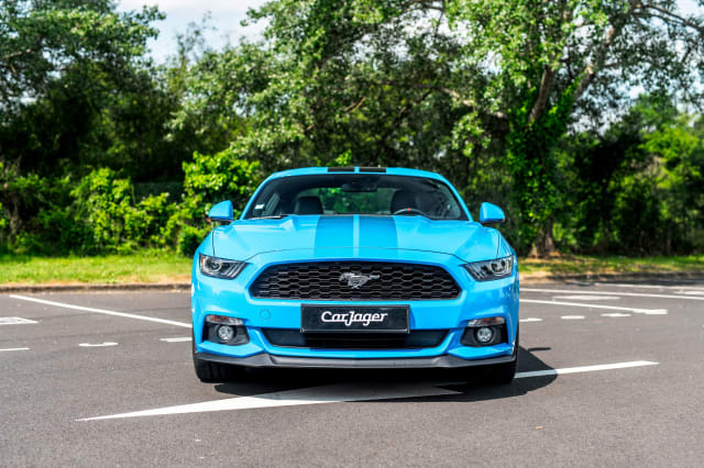 Ford Mustang Blue Edition  Fastback 
