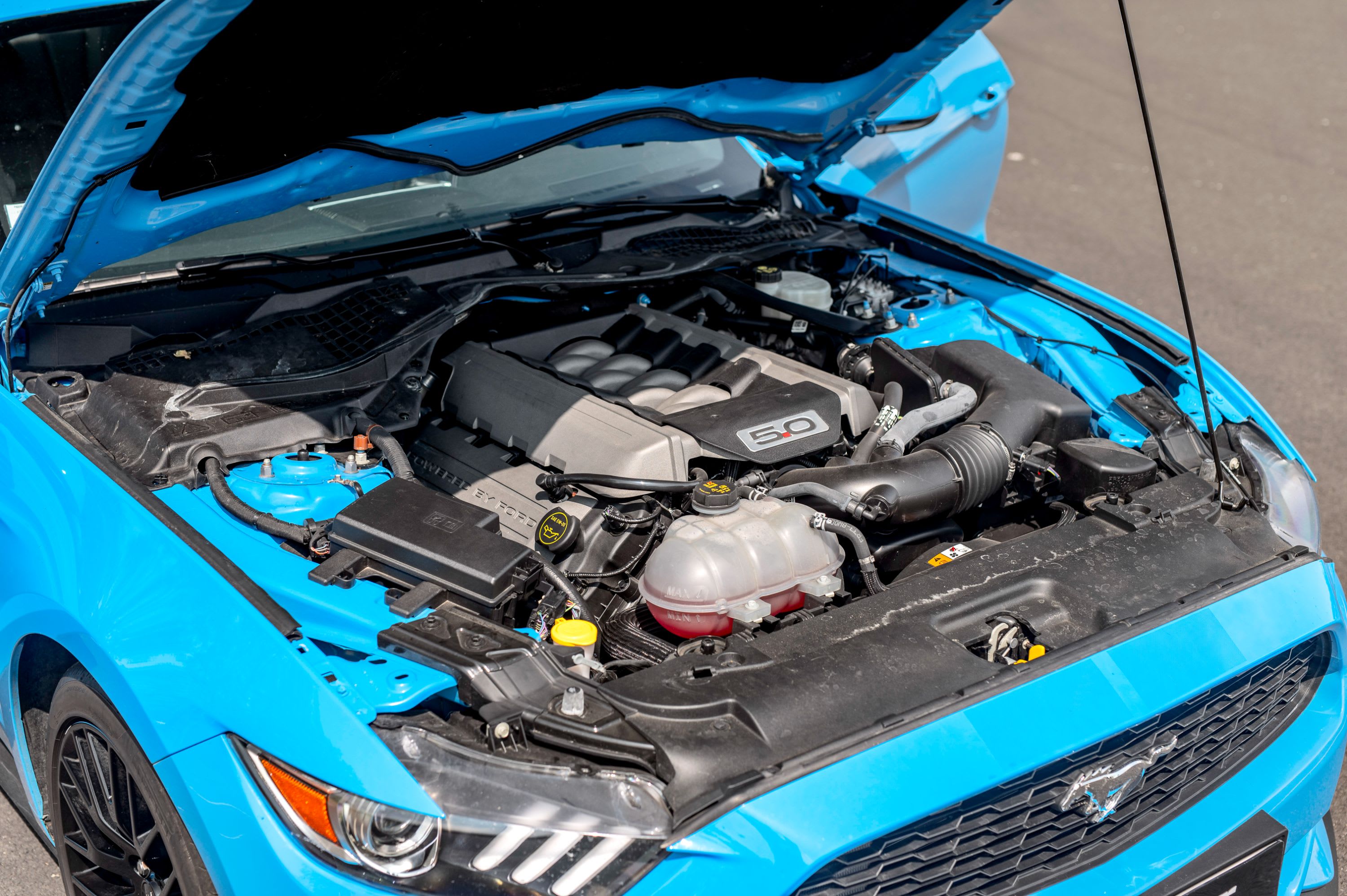 FORD Mustang Blue Edition Fastback 2017 used mechanical (1)